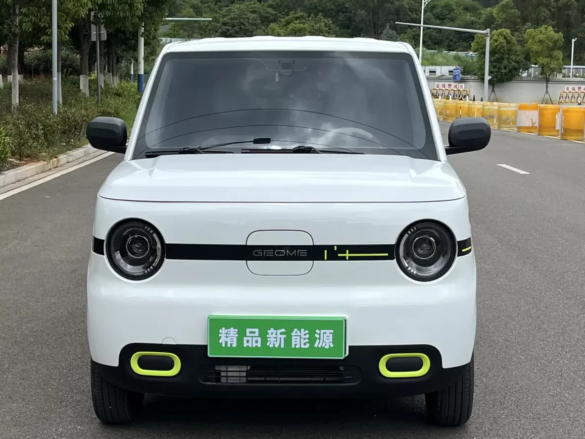 Geely panda