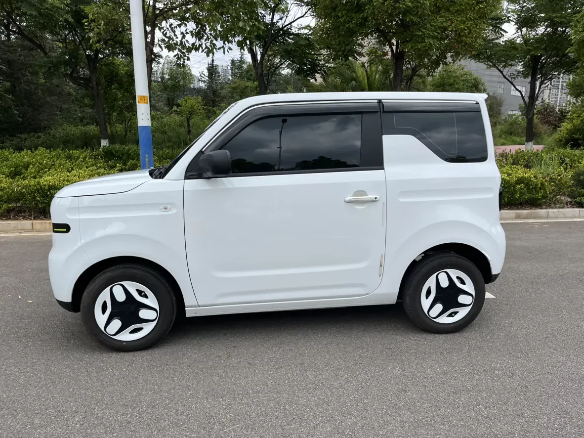 Geely panda