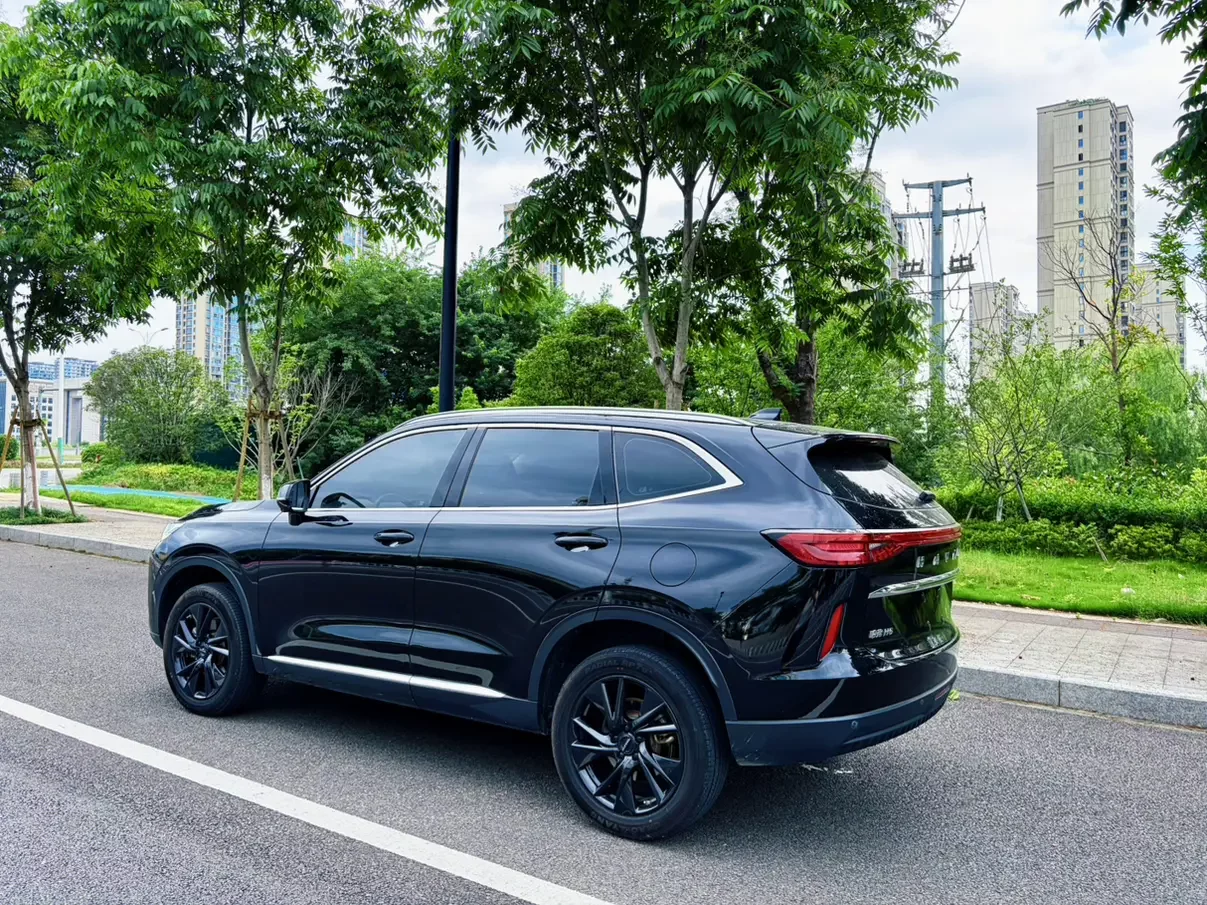 Haval H6
