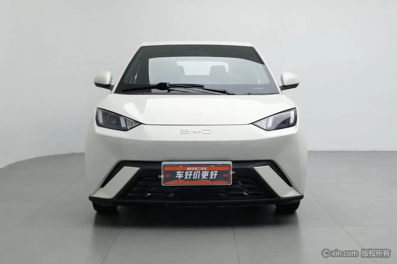 BYD seagull