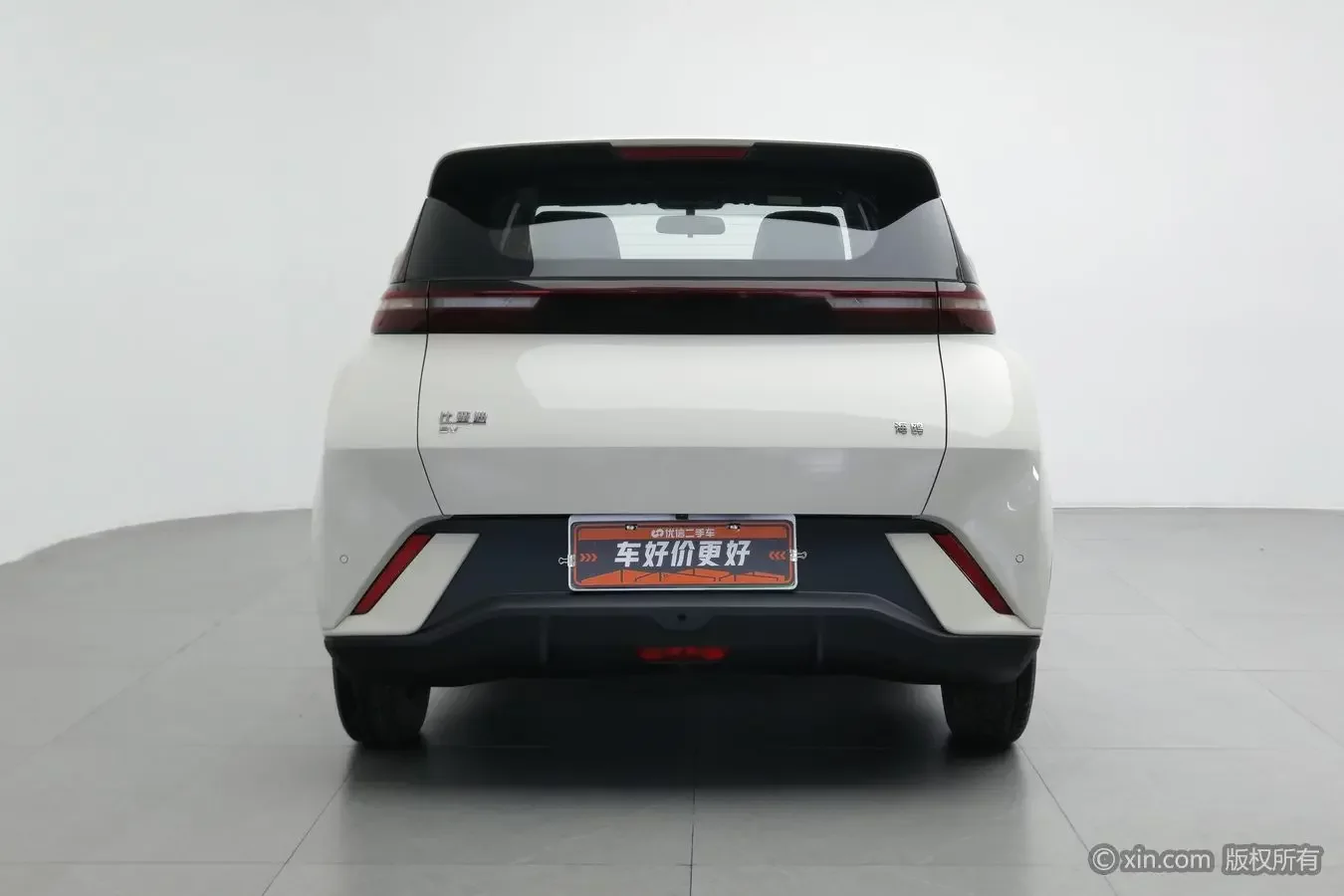 BYD seagull