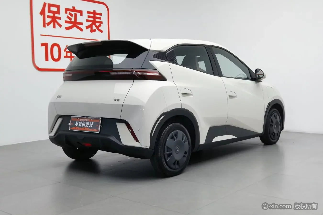 BYD seagull