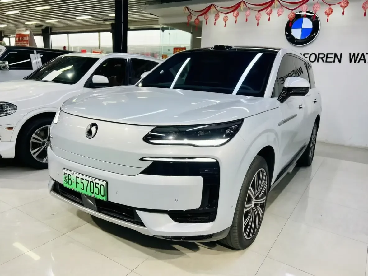 Denza Tengzhong N9 DM  из Китая