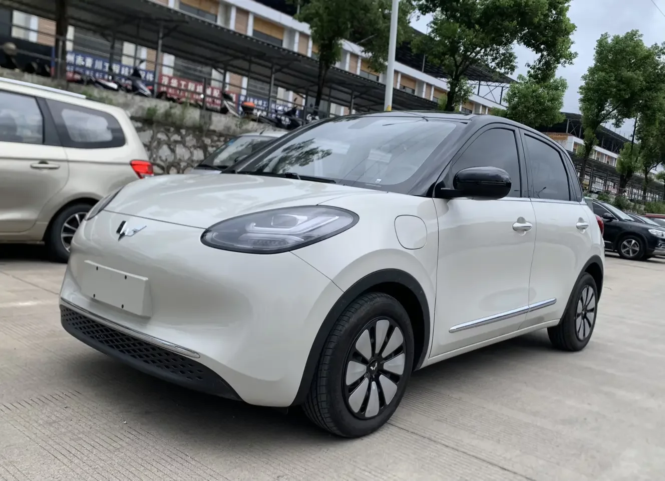 Wuling Bingo