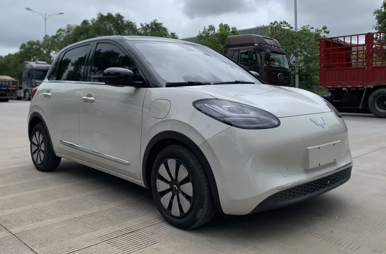 Wuling Bingo