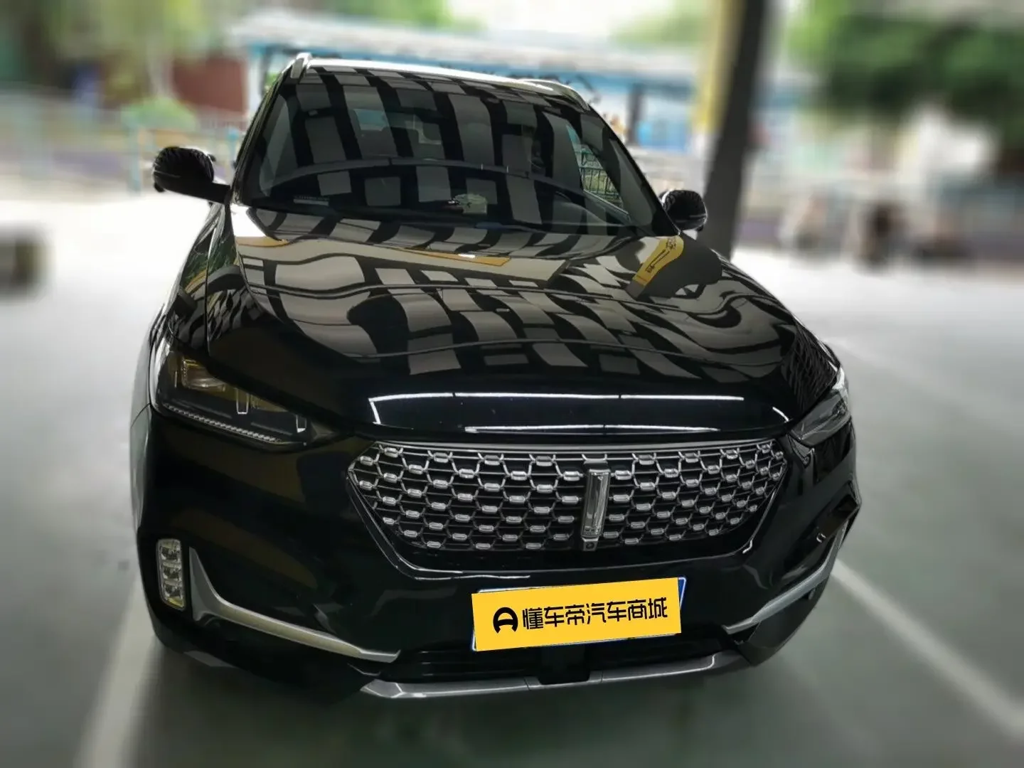 Wey Wei brand VV6