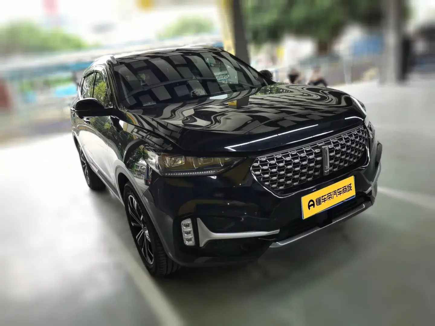 Wey Wei brand VV6