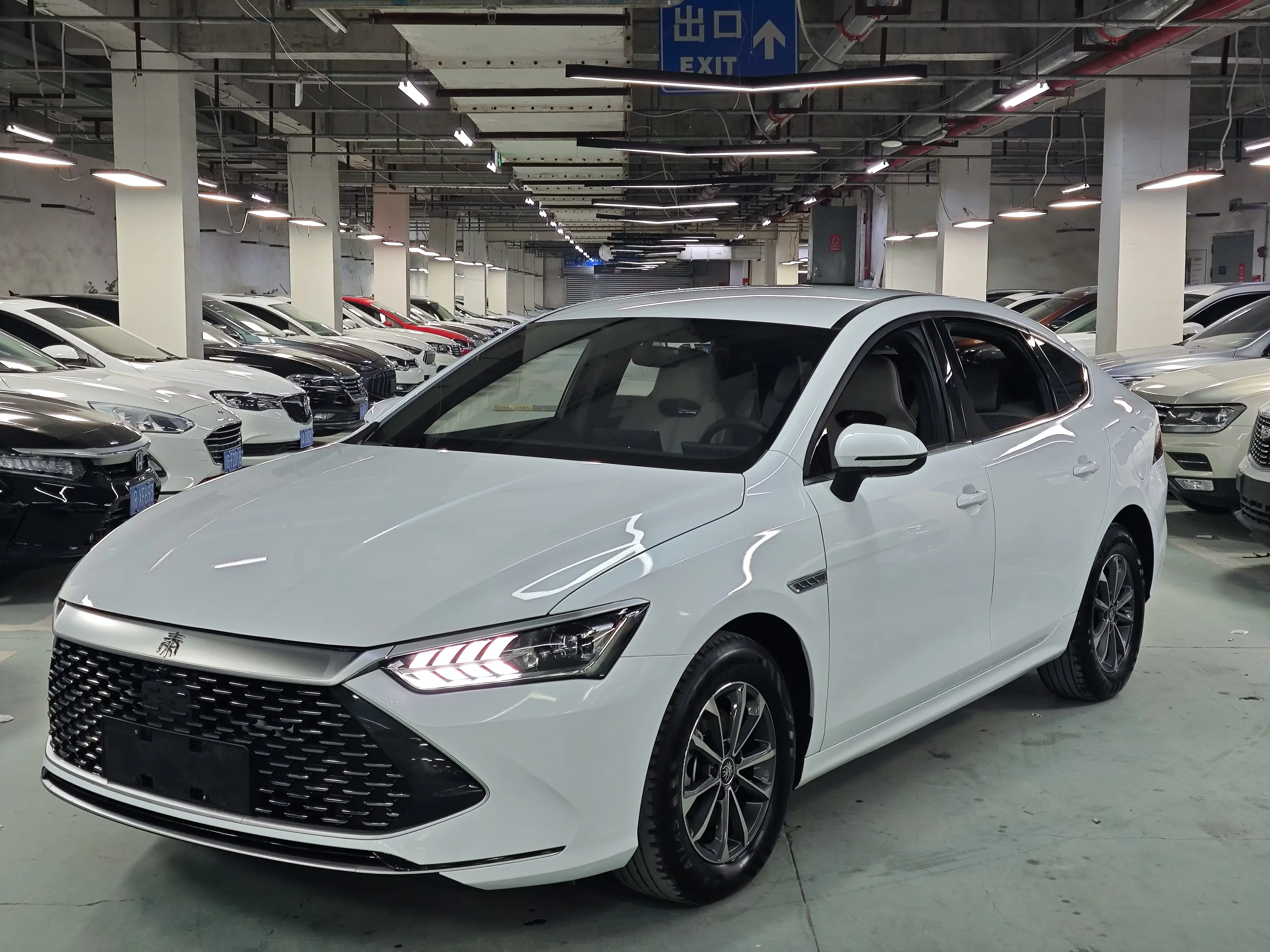 BYD Qin PLUS DM