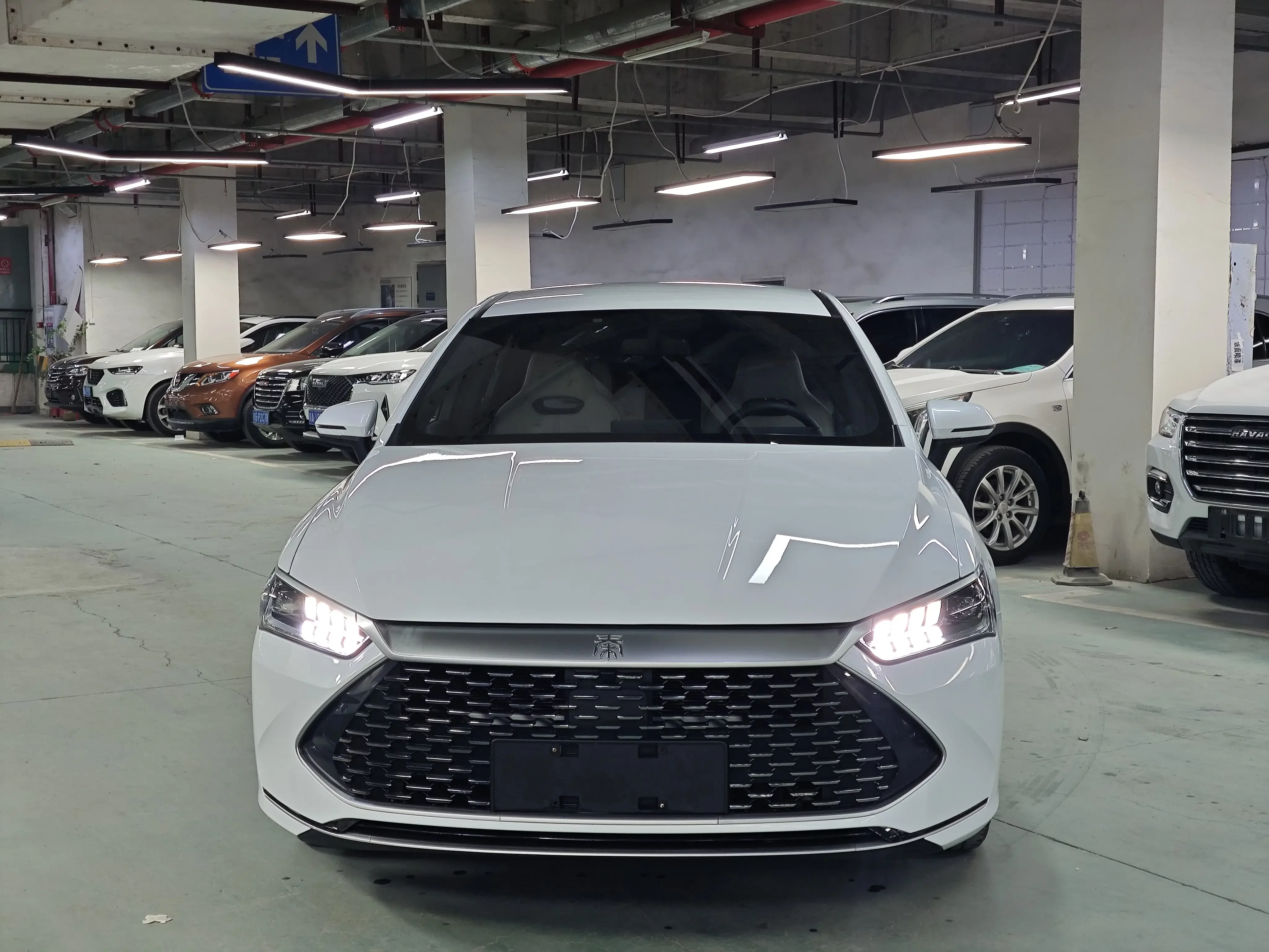BYD Qin PLUS DM