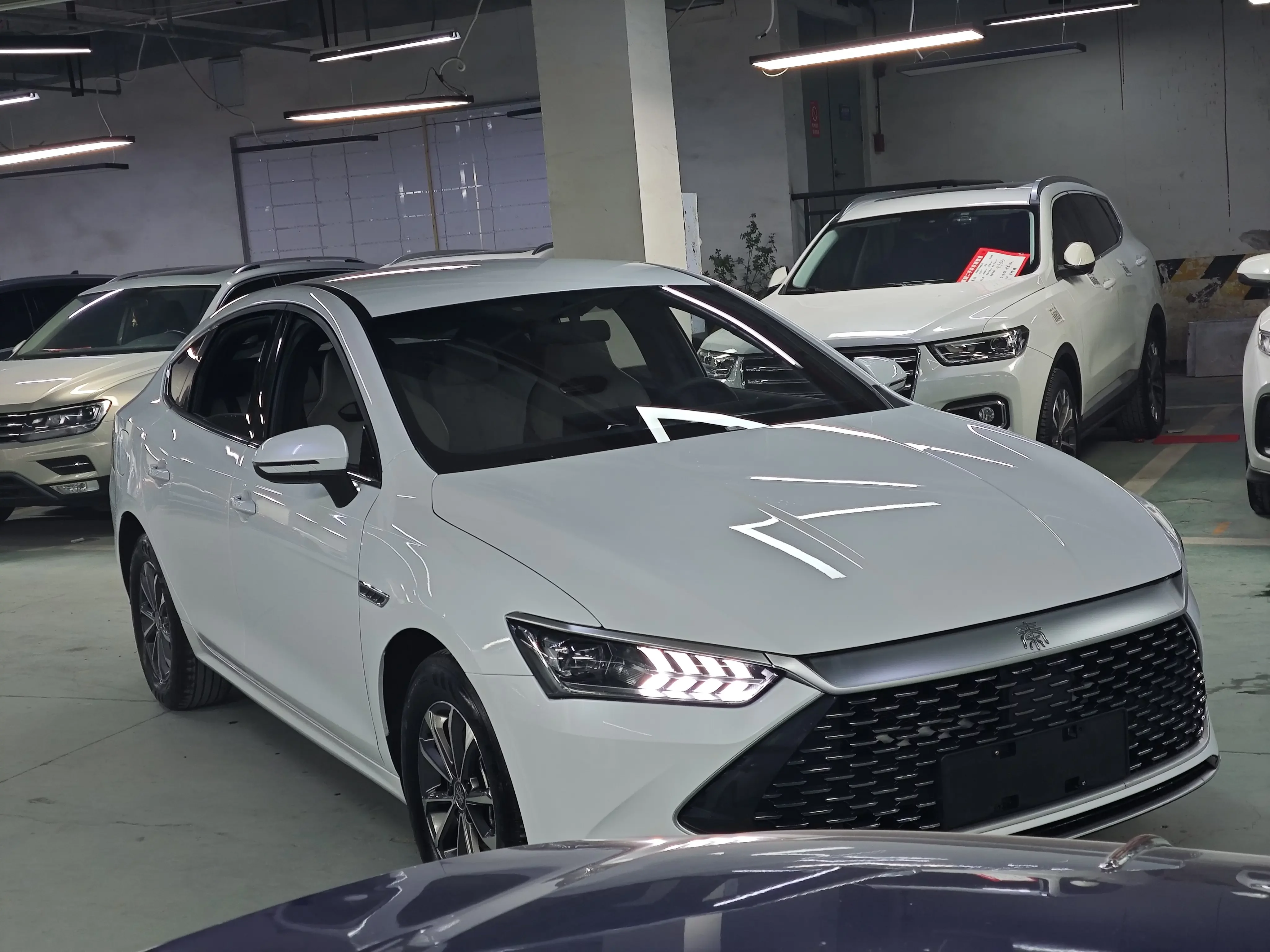 BYD Qin PLUS DM