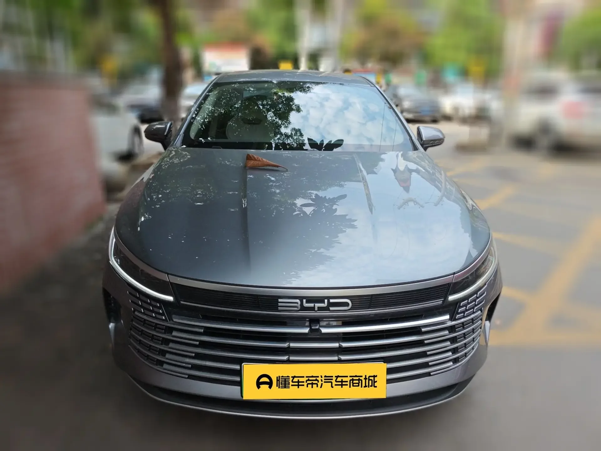 BYD Destroyer 05