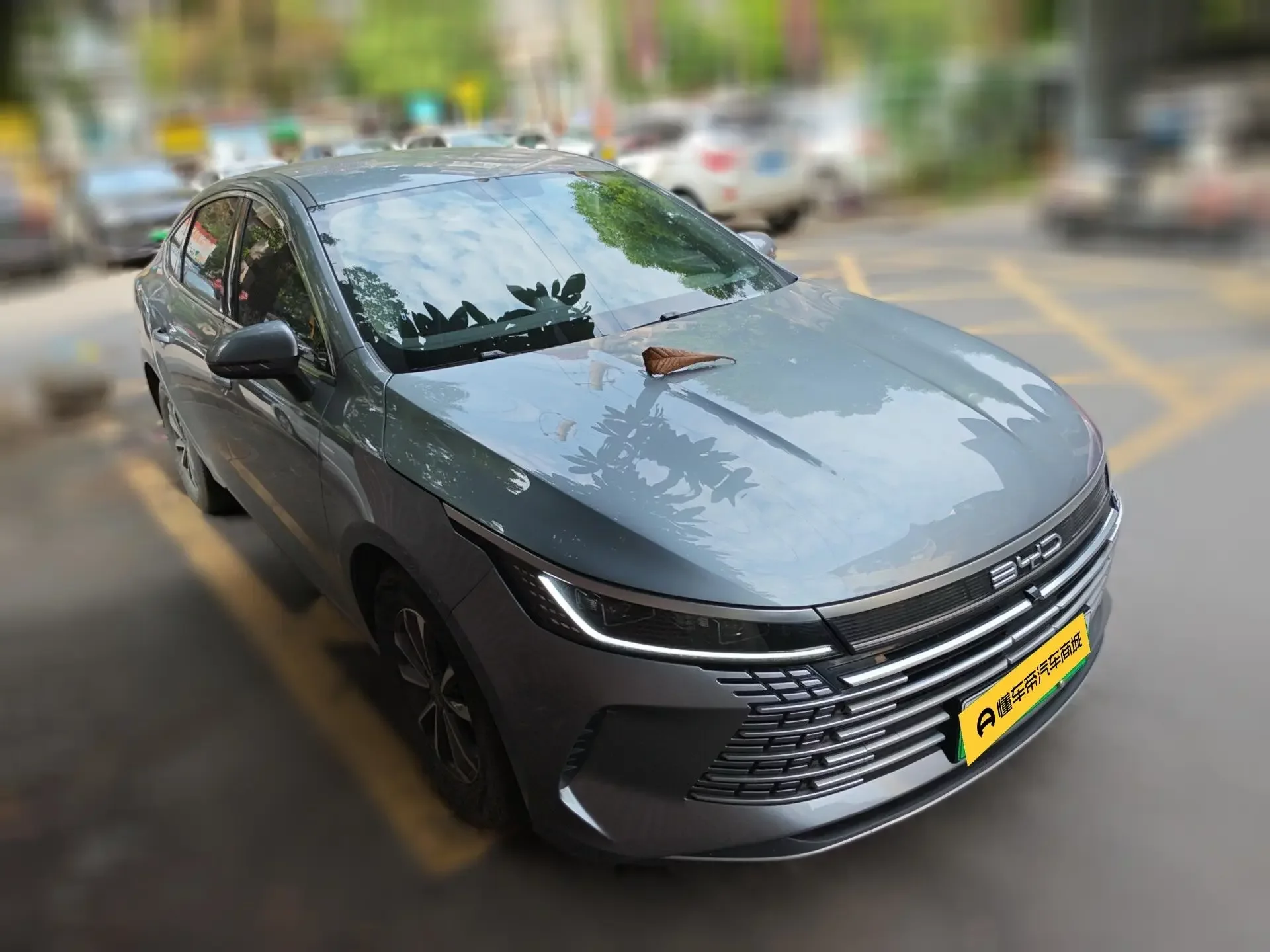 BYD Destroyer 05