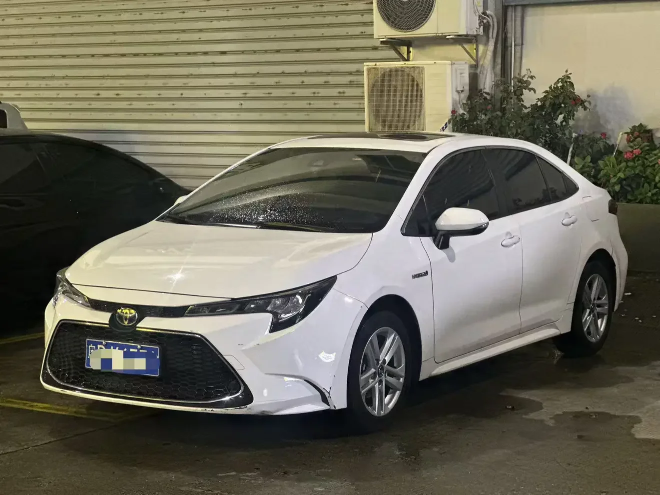 Toyota Levin