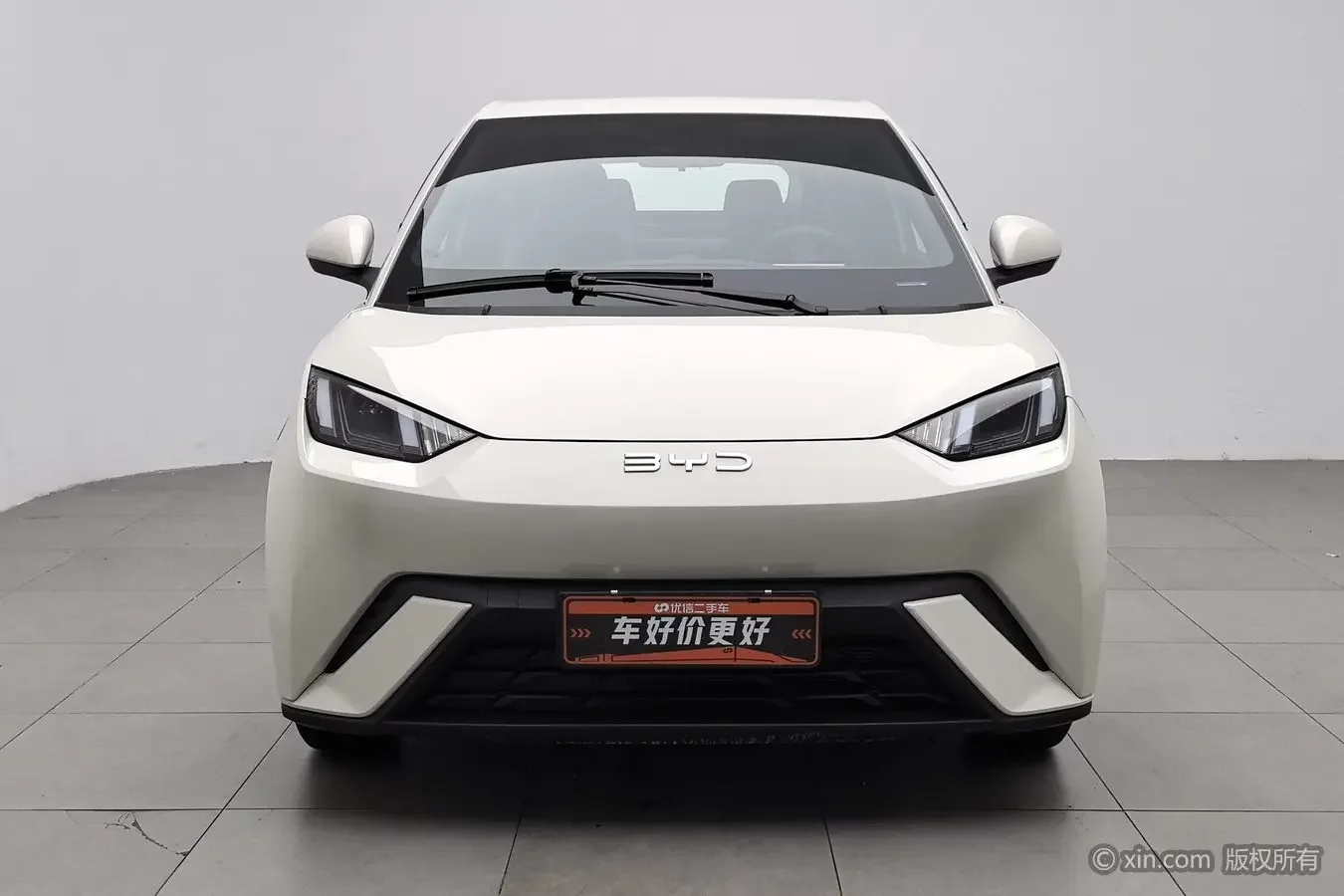 BYD seagull