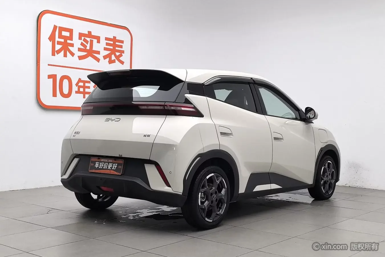 BYD seagull