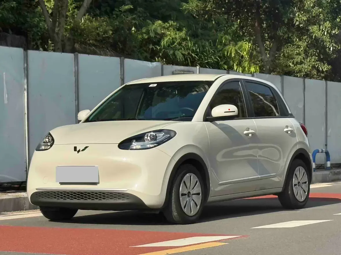 Wuling Bingo