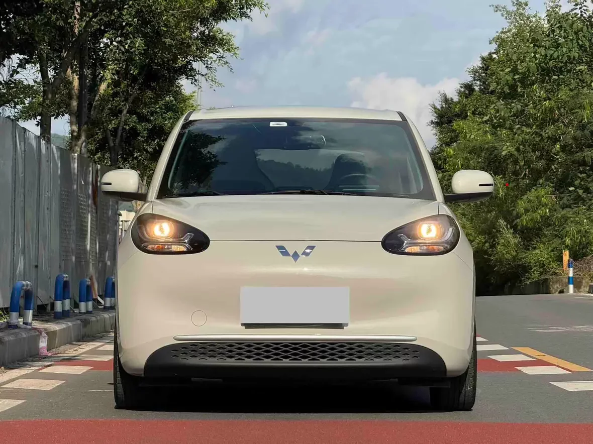 Wuling Bingo