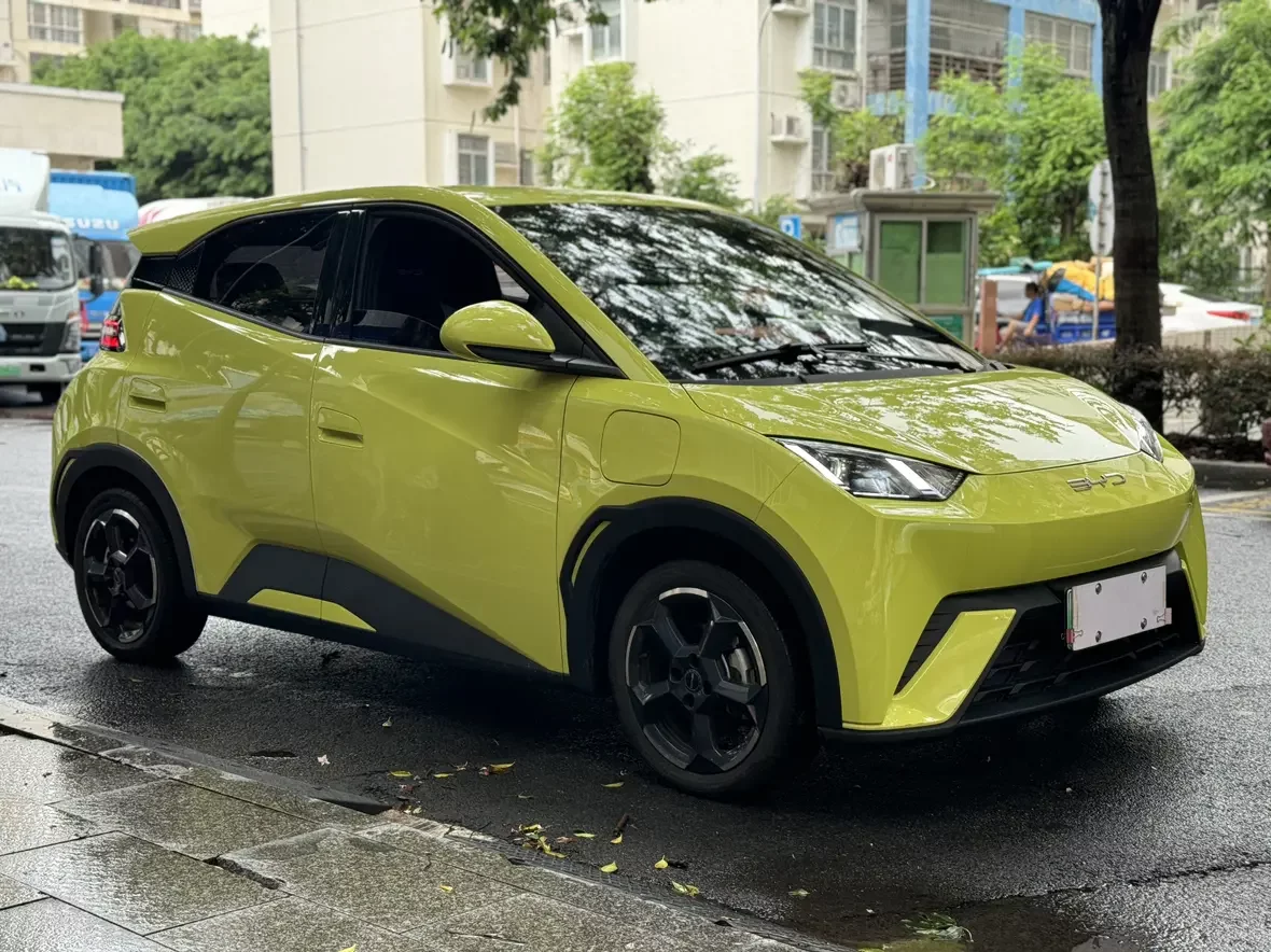 BYD seagull