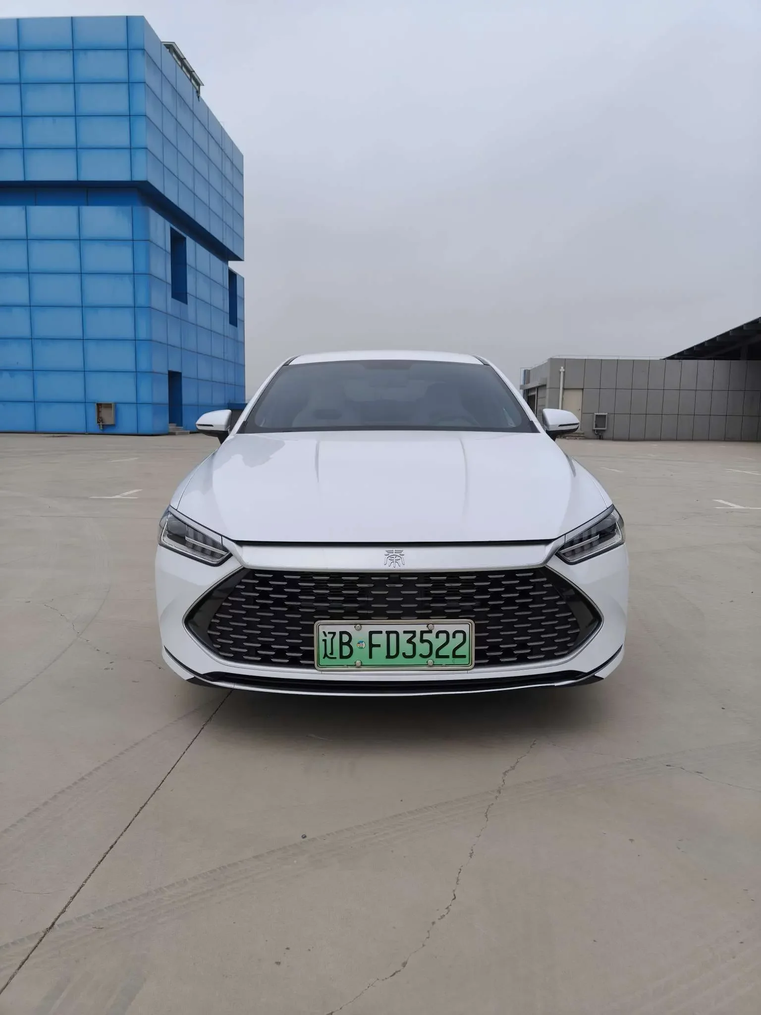 BYD Qin PLUS DM