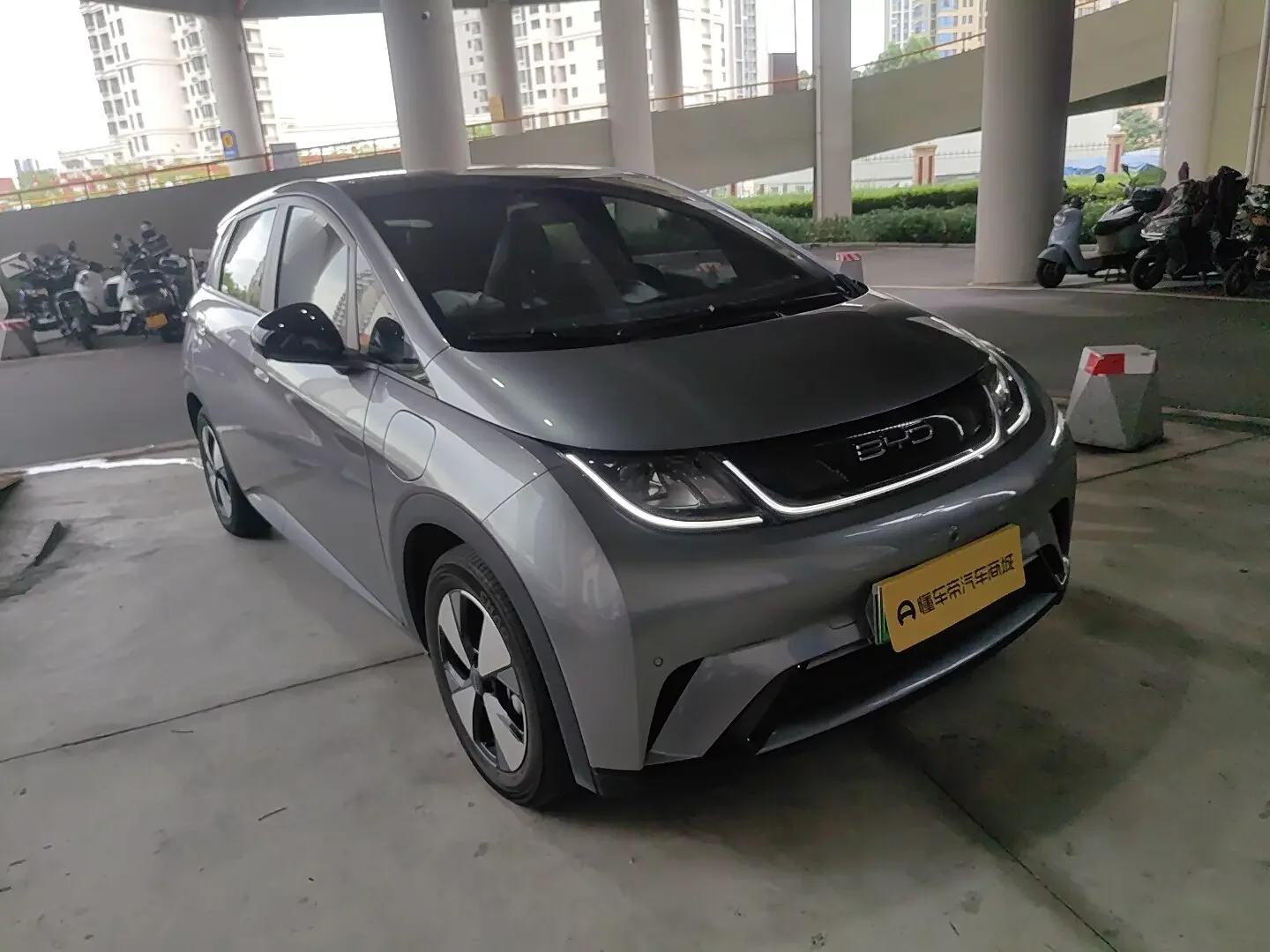 BYD dolphin