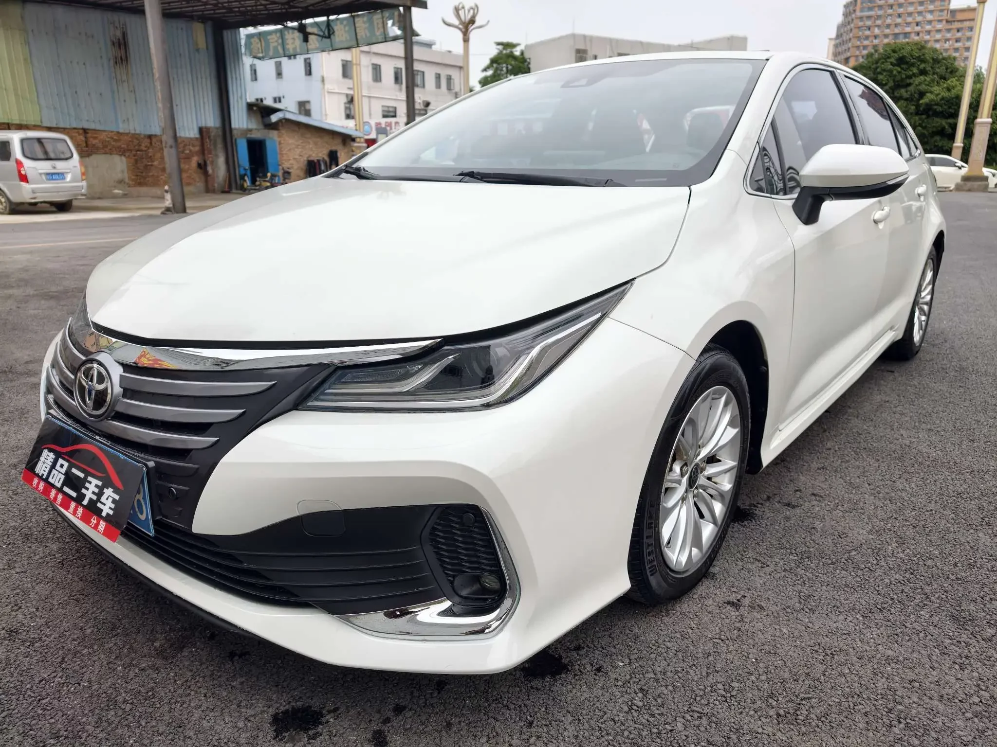 Toyota Asiatic lion