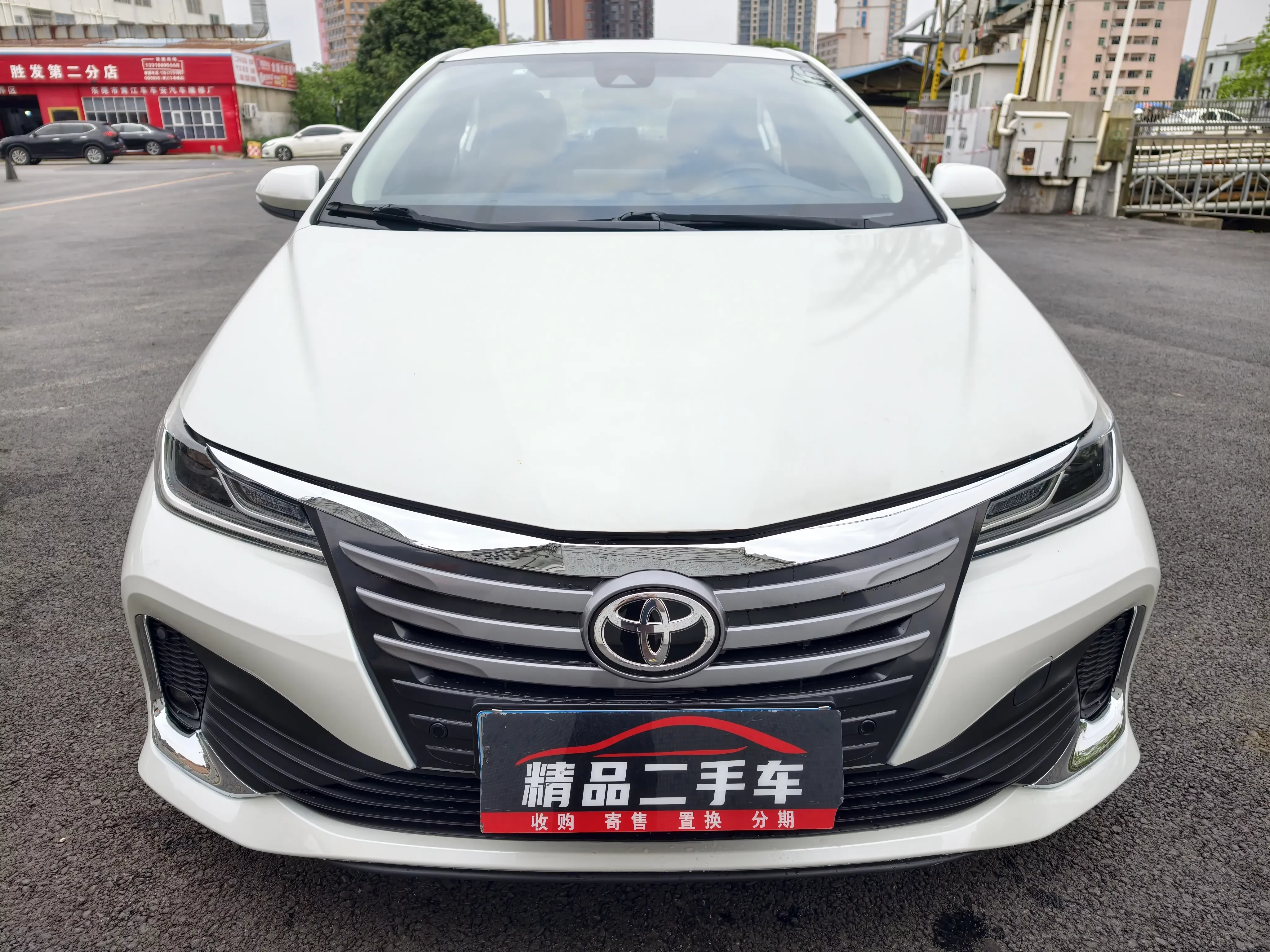 Toyota Asiatic lion