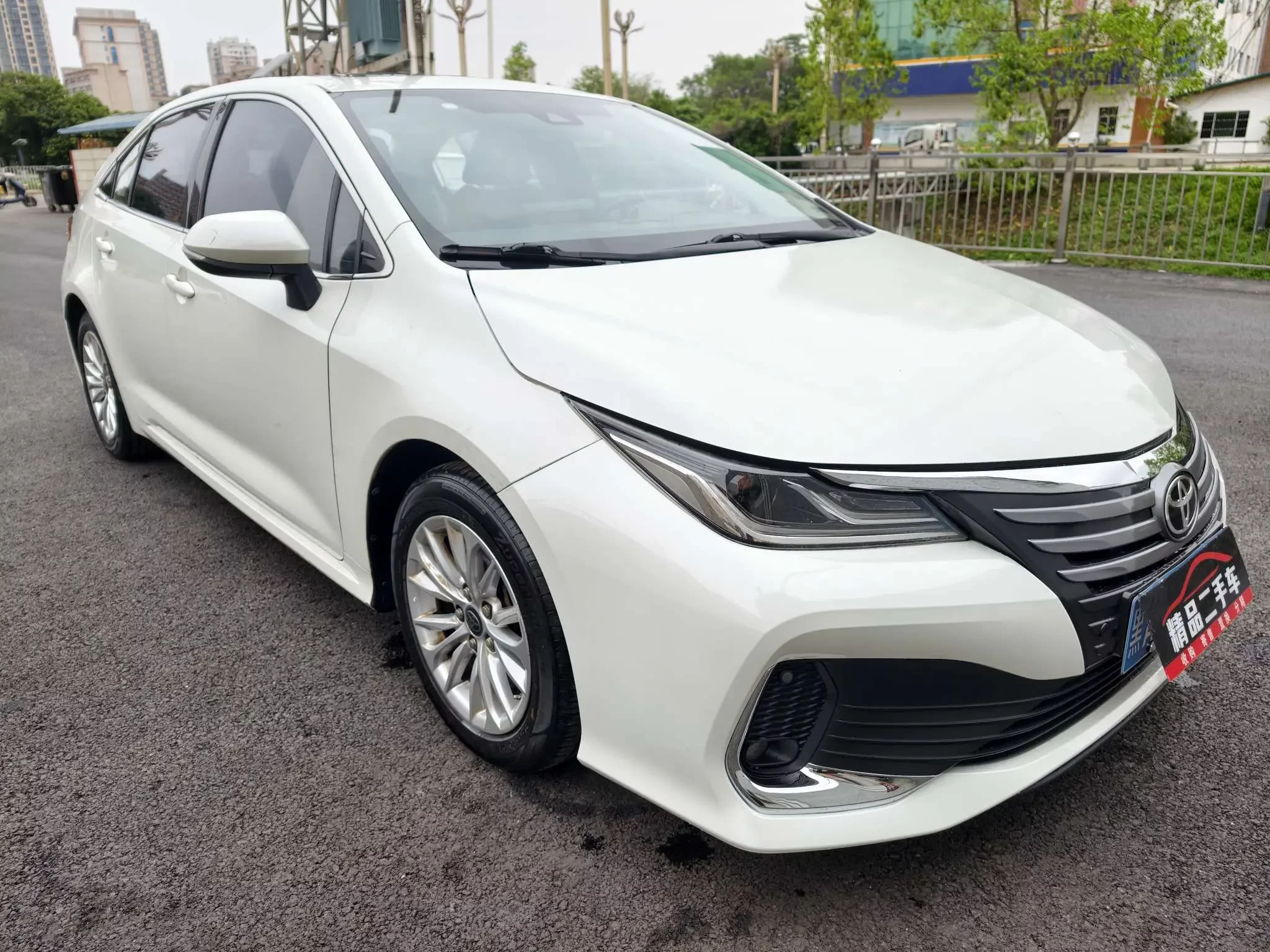 Toyota Asiatic lion
