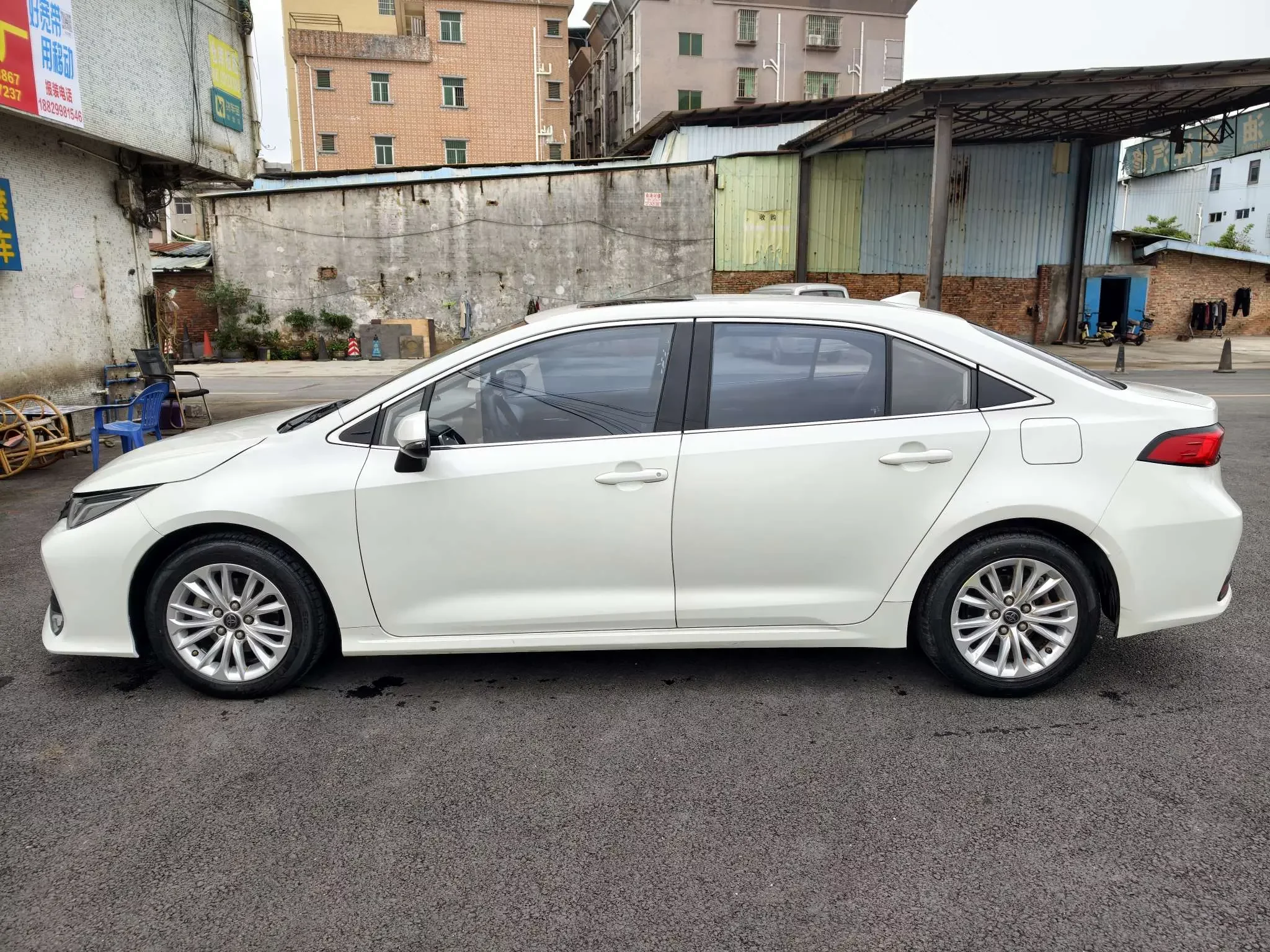 Toyota Asiatic lion