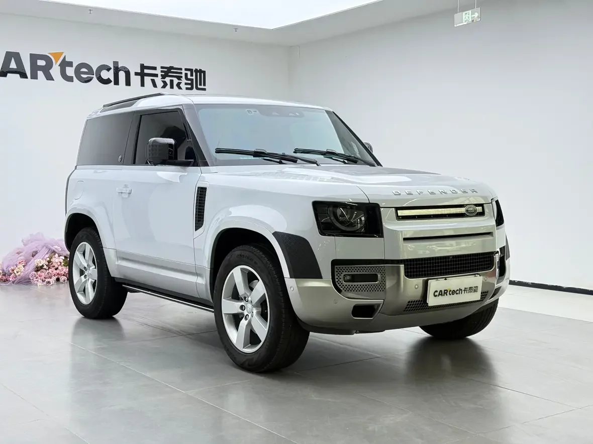Land Rover guard