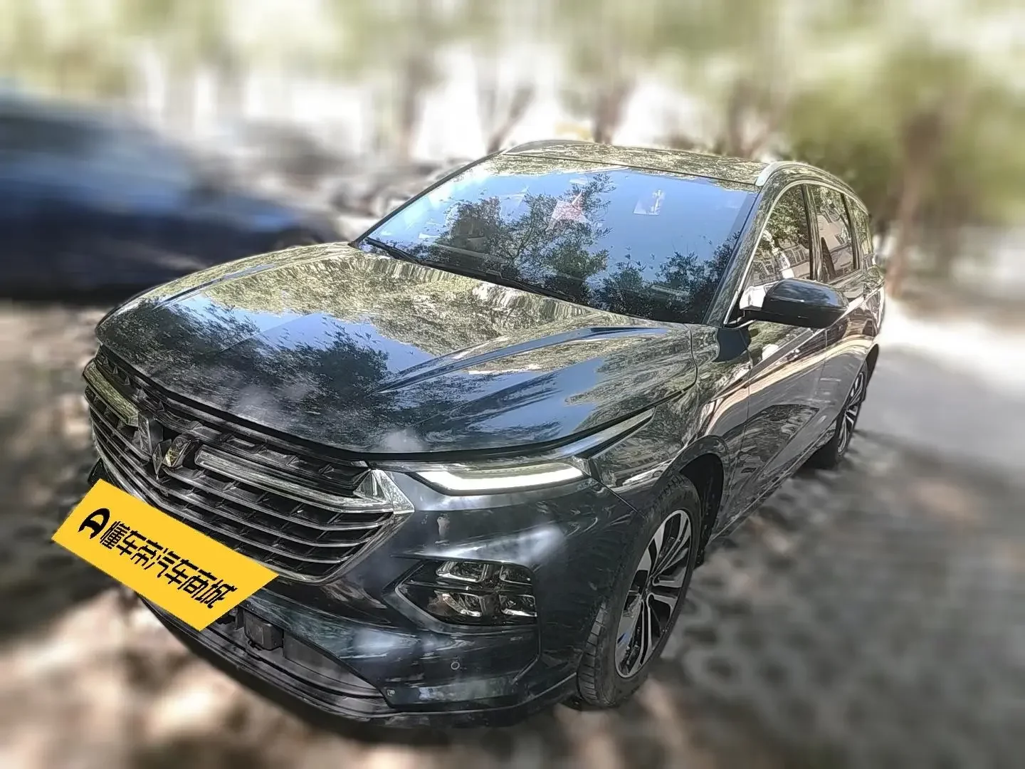 Wuling Capgemini Victory