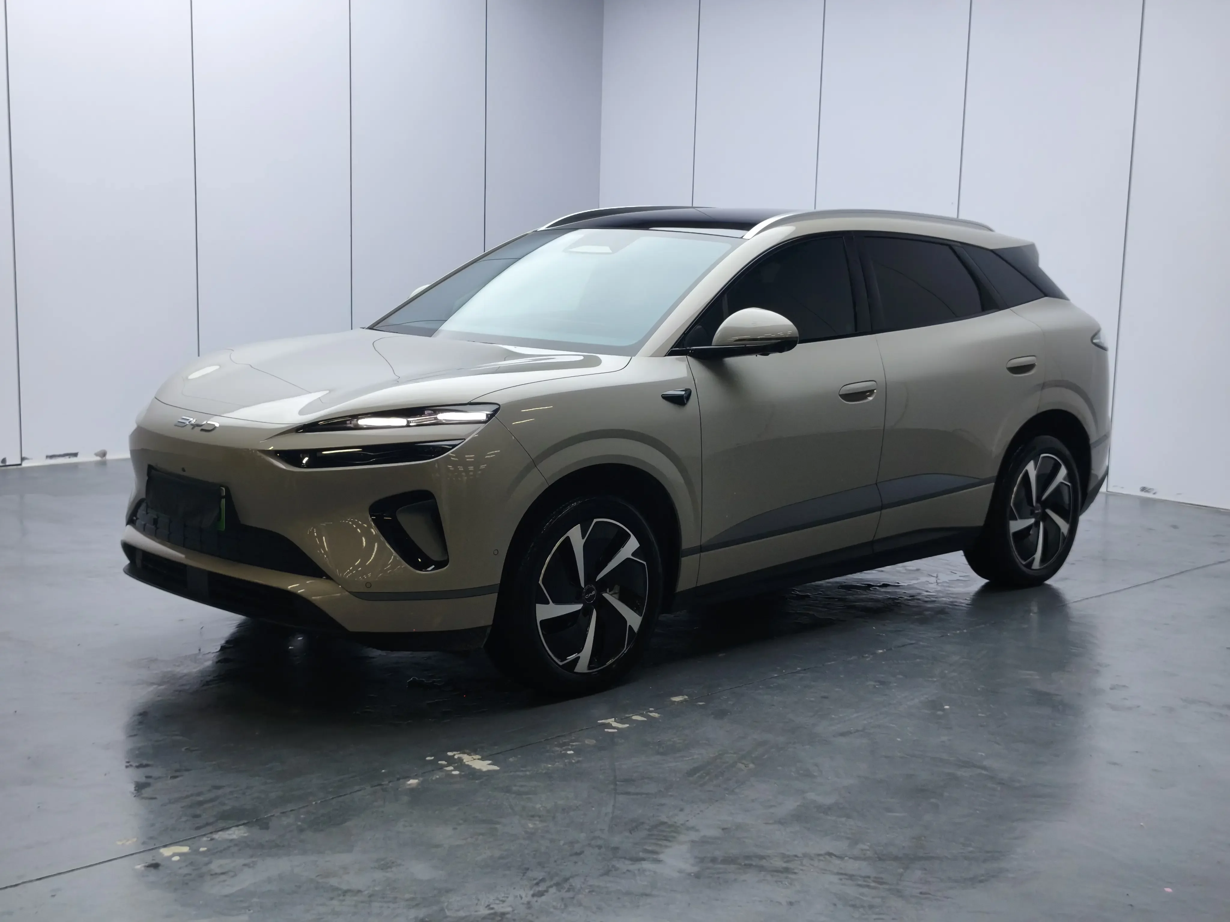 BYD Sea Lion 06EV
