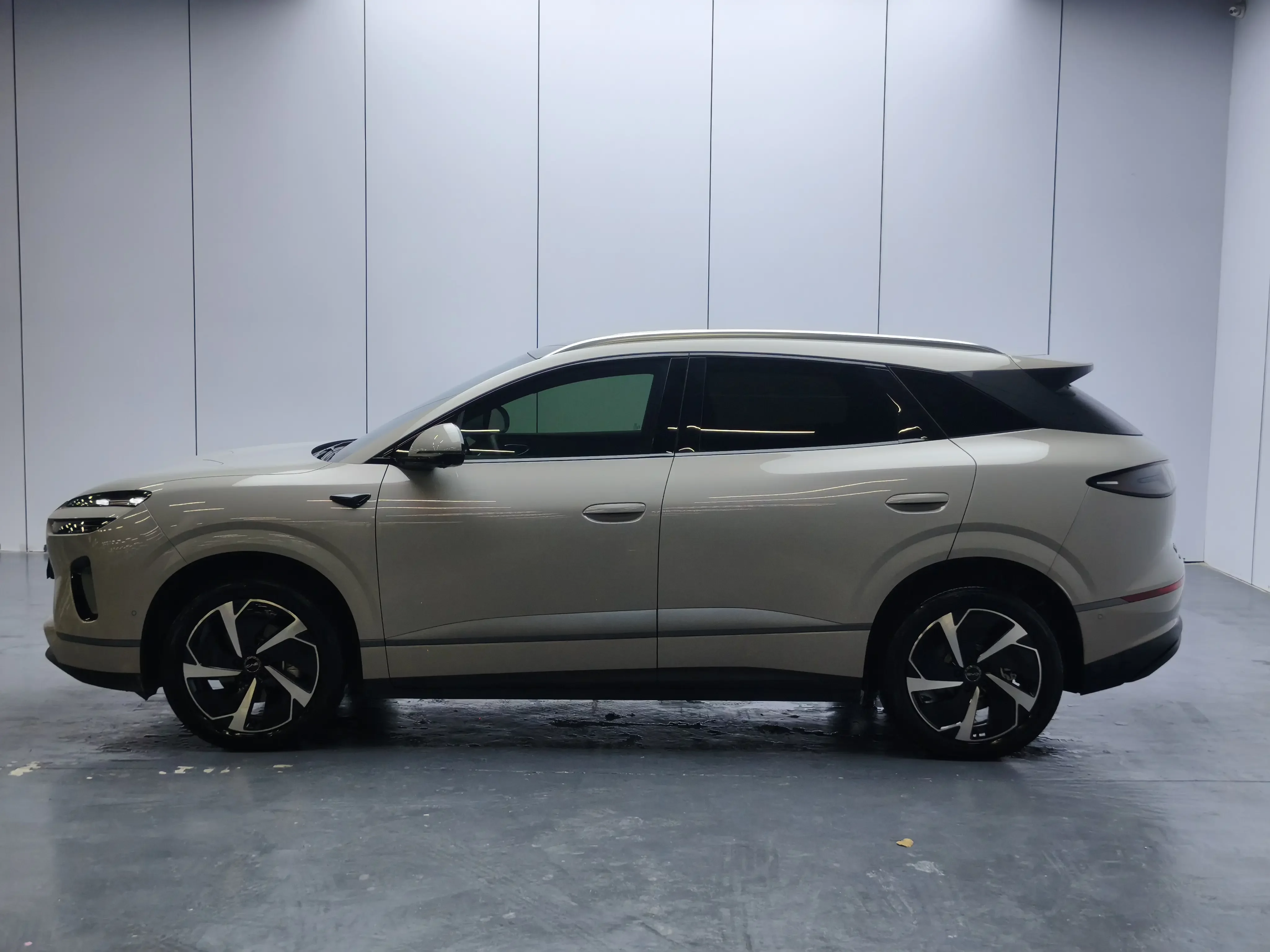 BYD Sea Lion 06EV