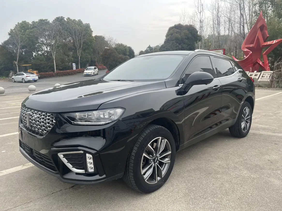 Wey Wei brand VV5