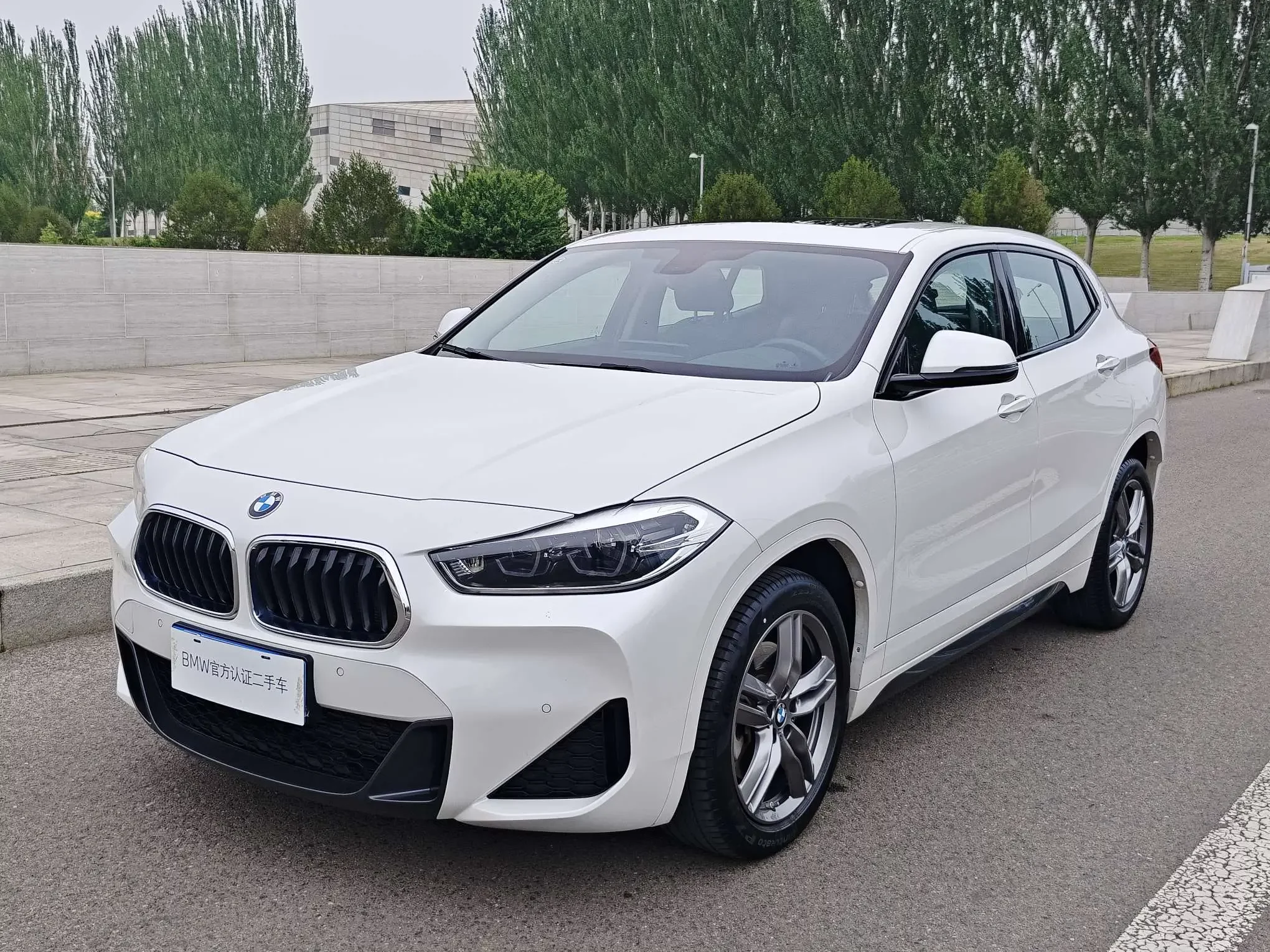 BMW X2
