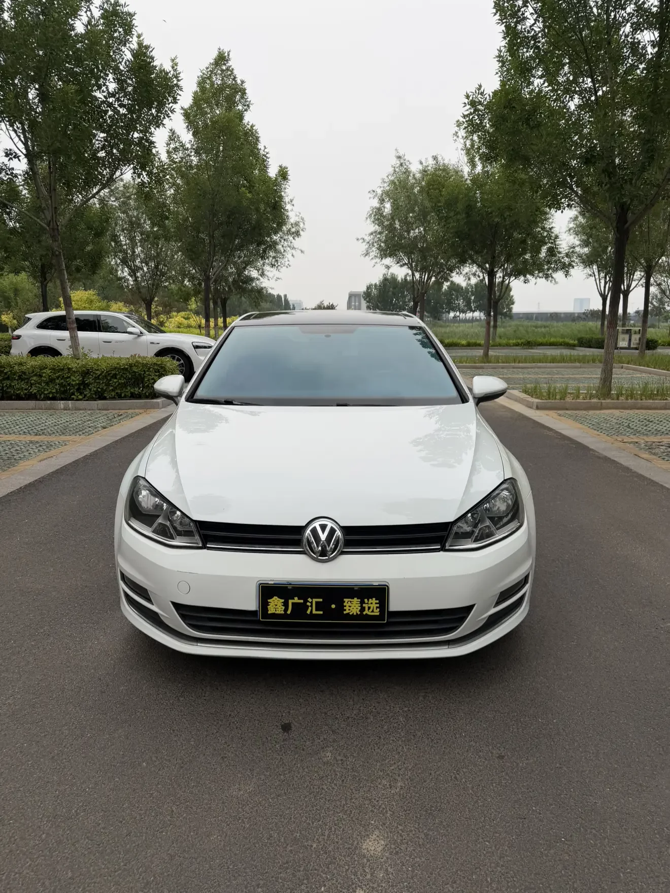 Volkswagen golf