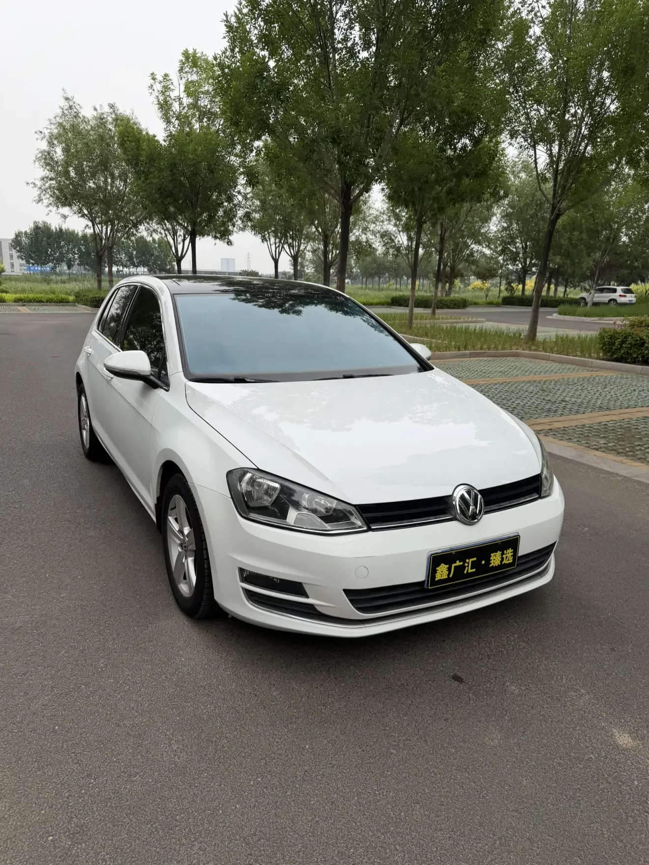 Volkswagen golf