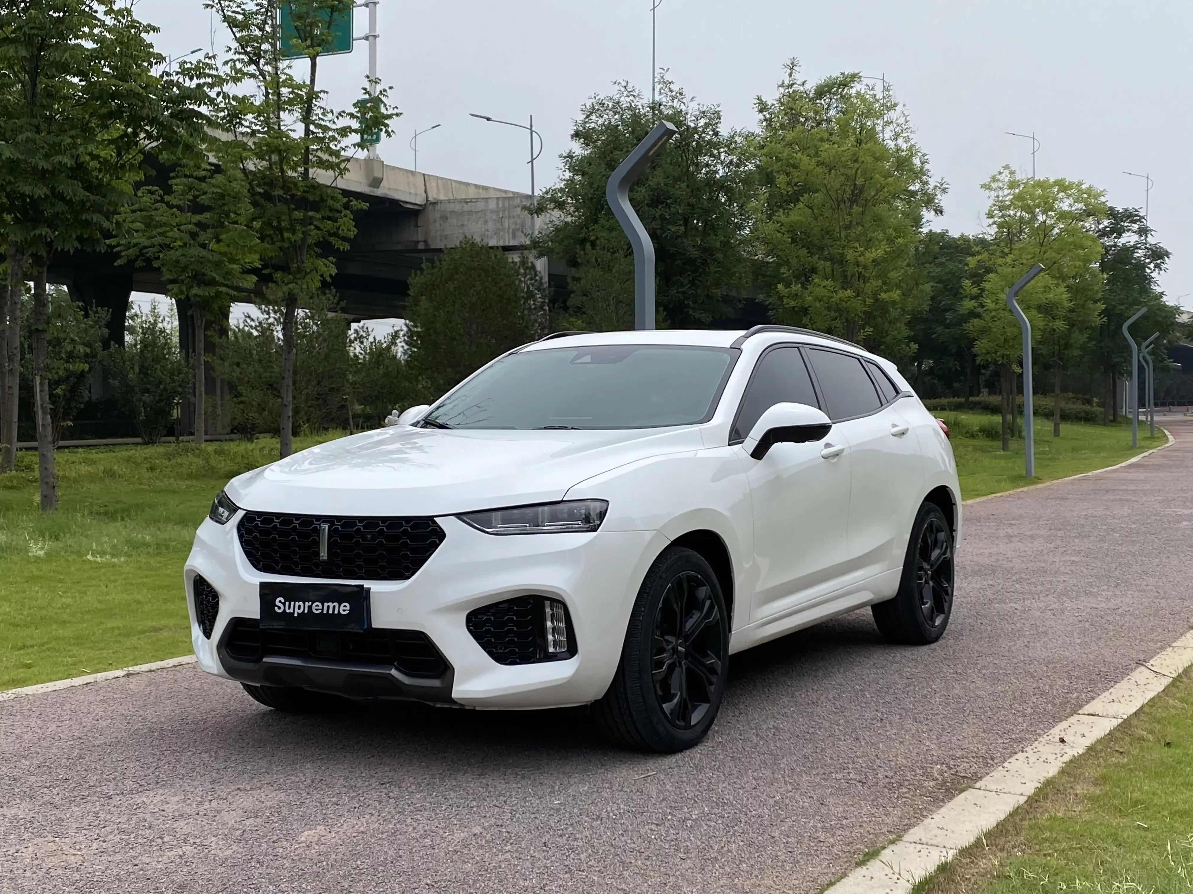 Wey Wei brand VV7