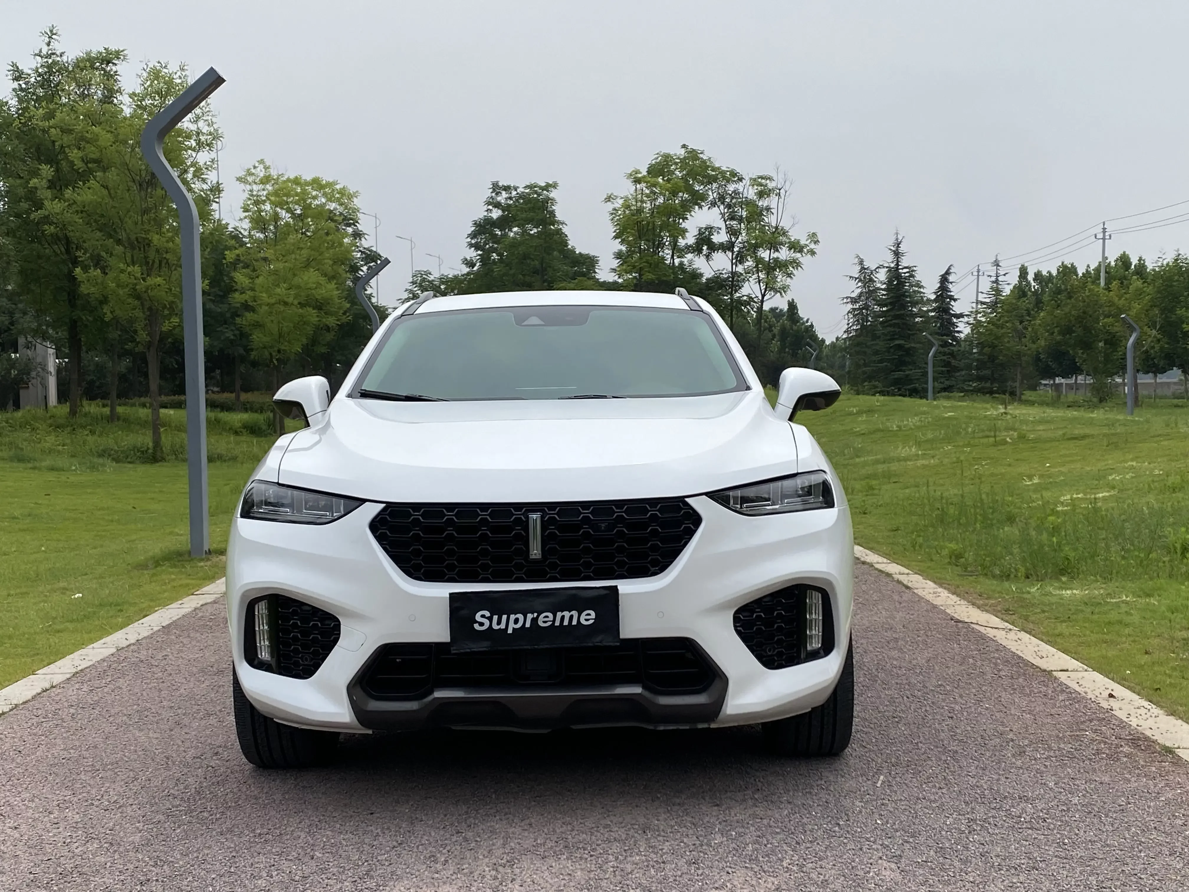Wey Wei brand VV7
