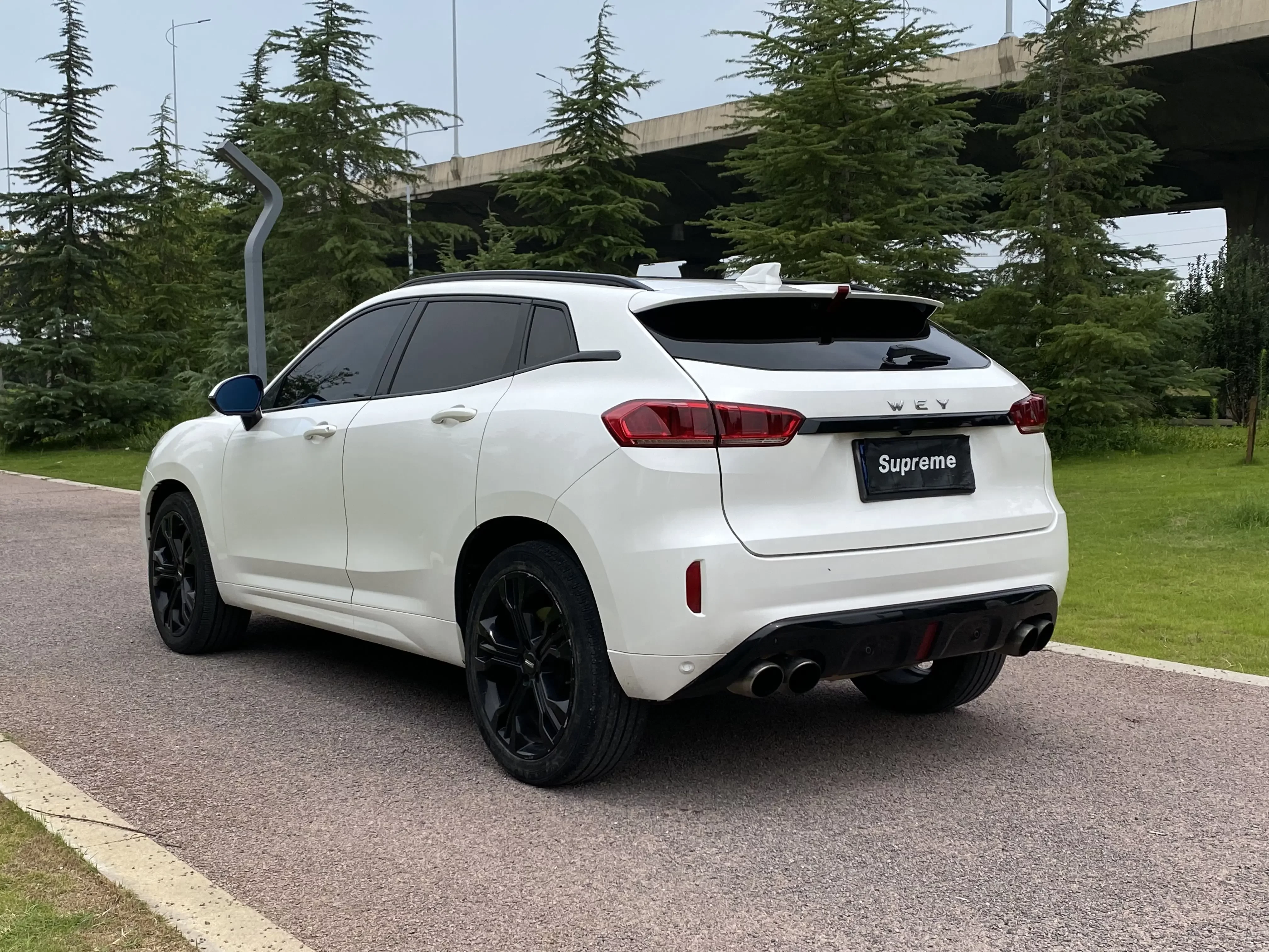 Wey Wei brand VV7