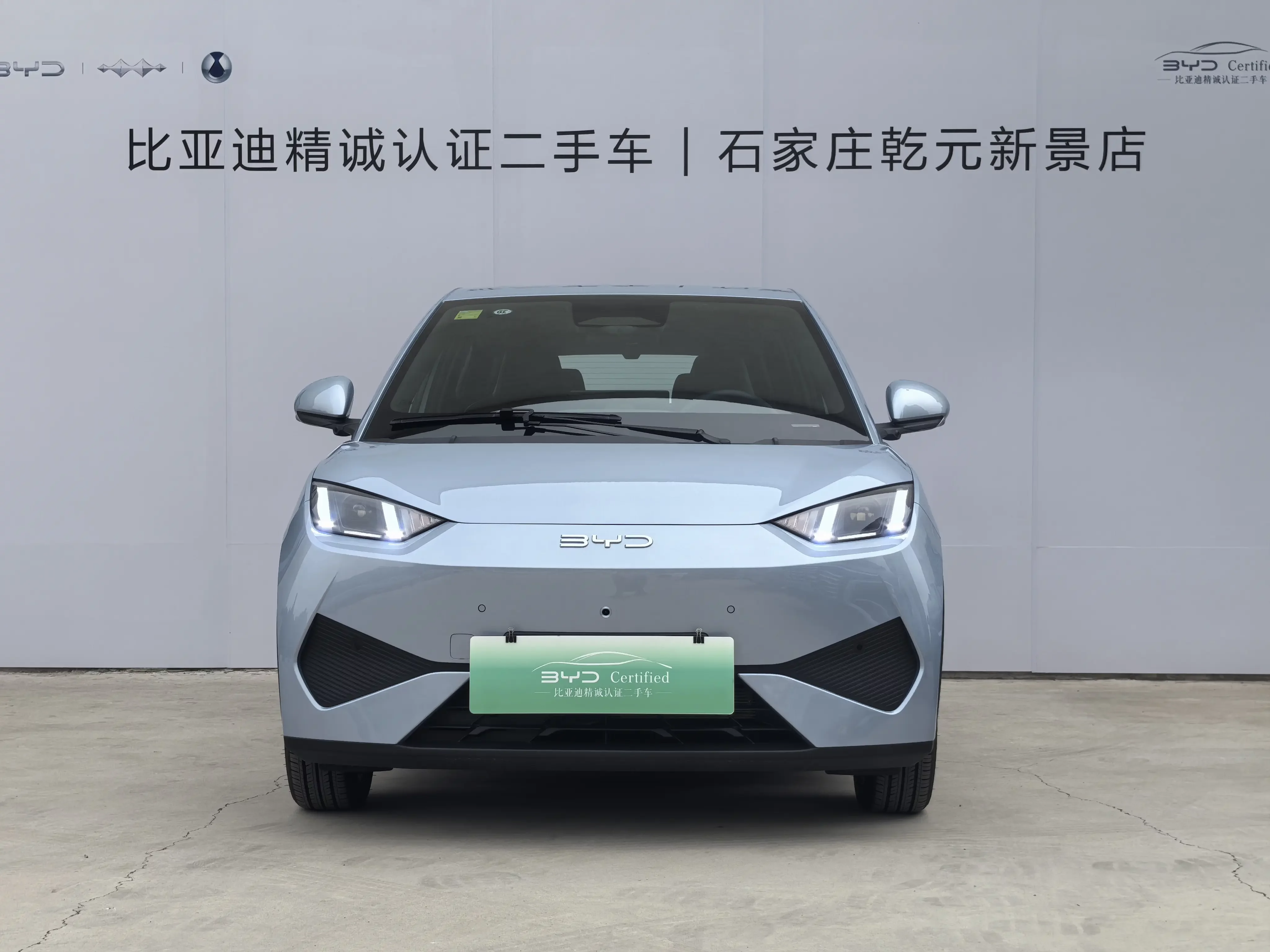 BYD seagull