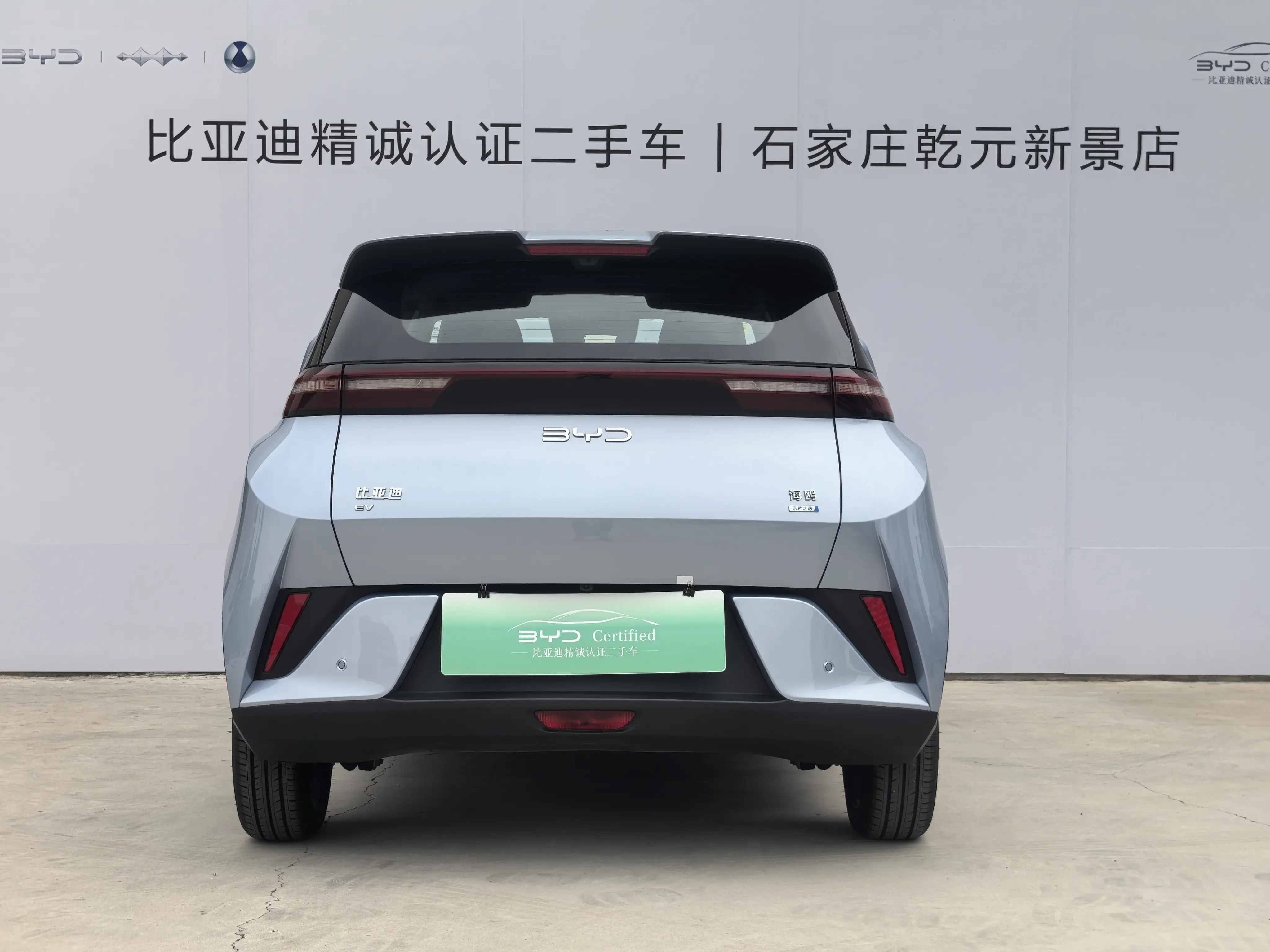 BYD seagull