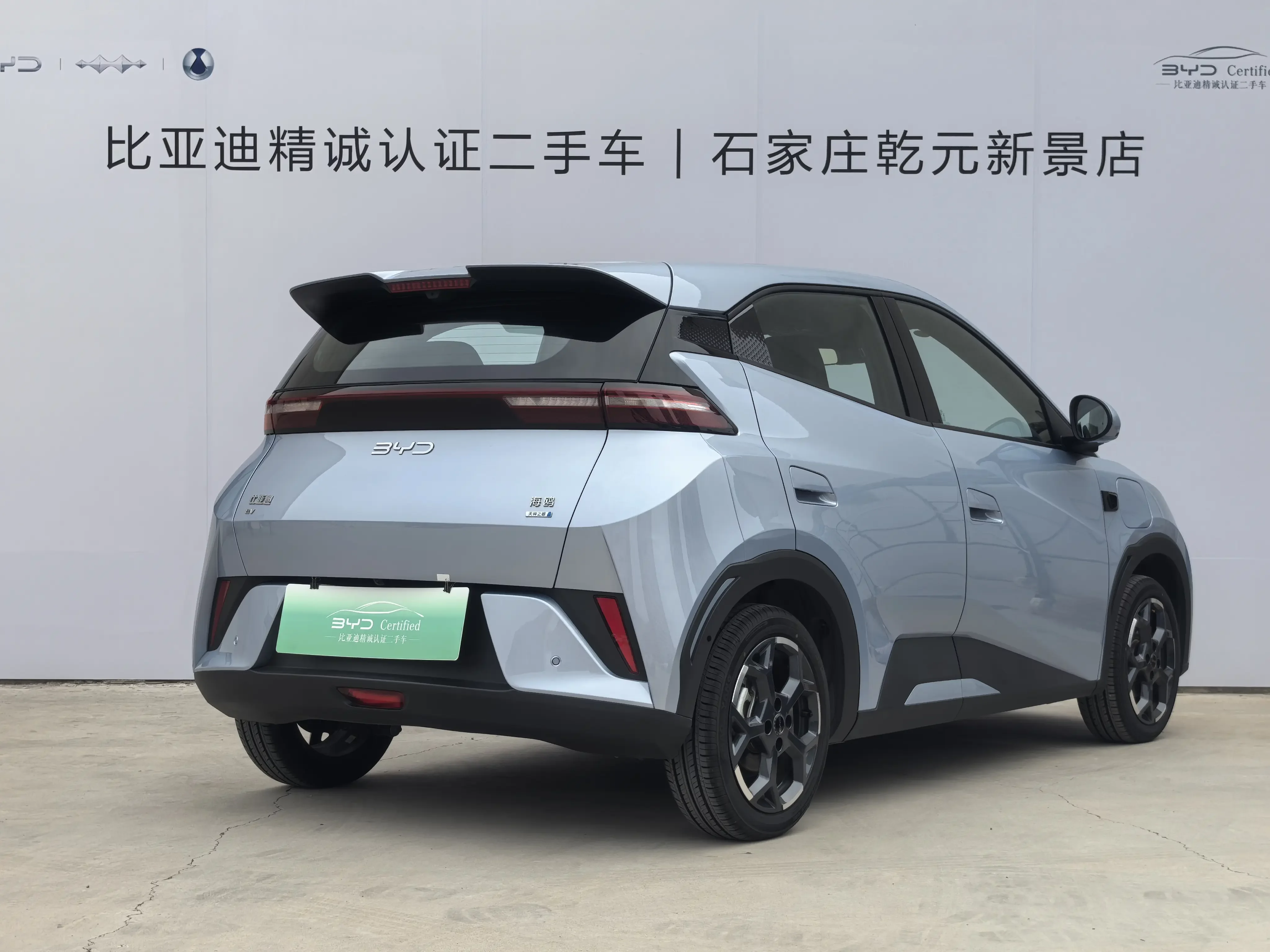 BYD seagull