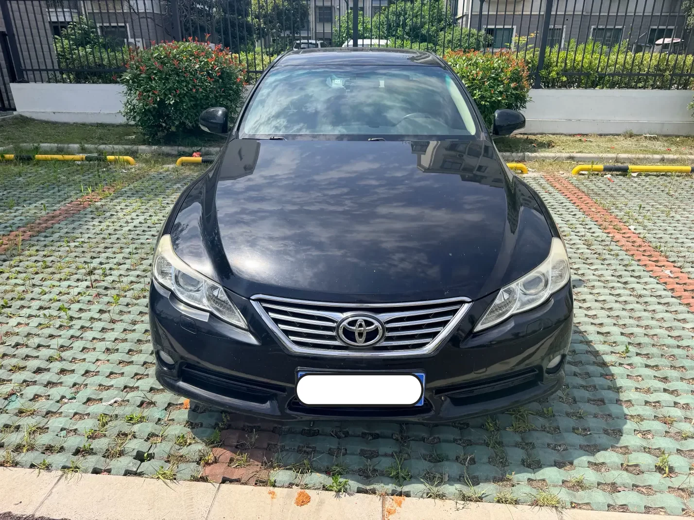 Toyota Ruizhi