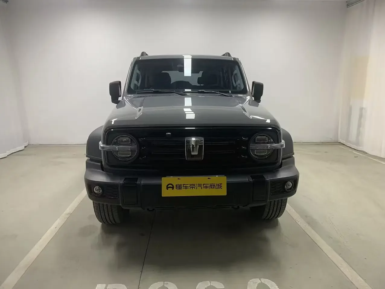Tank 300