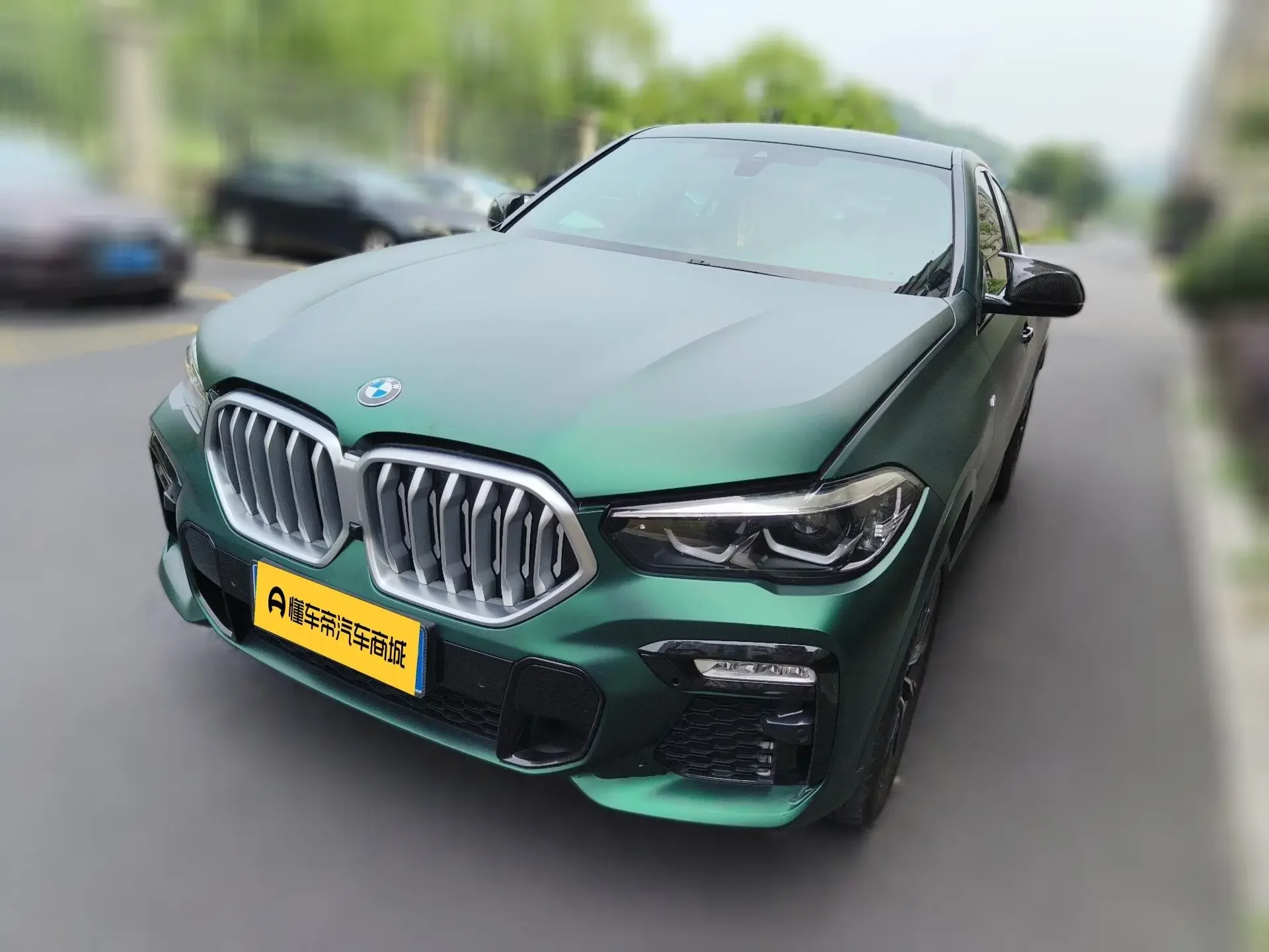 BMW X6