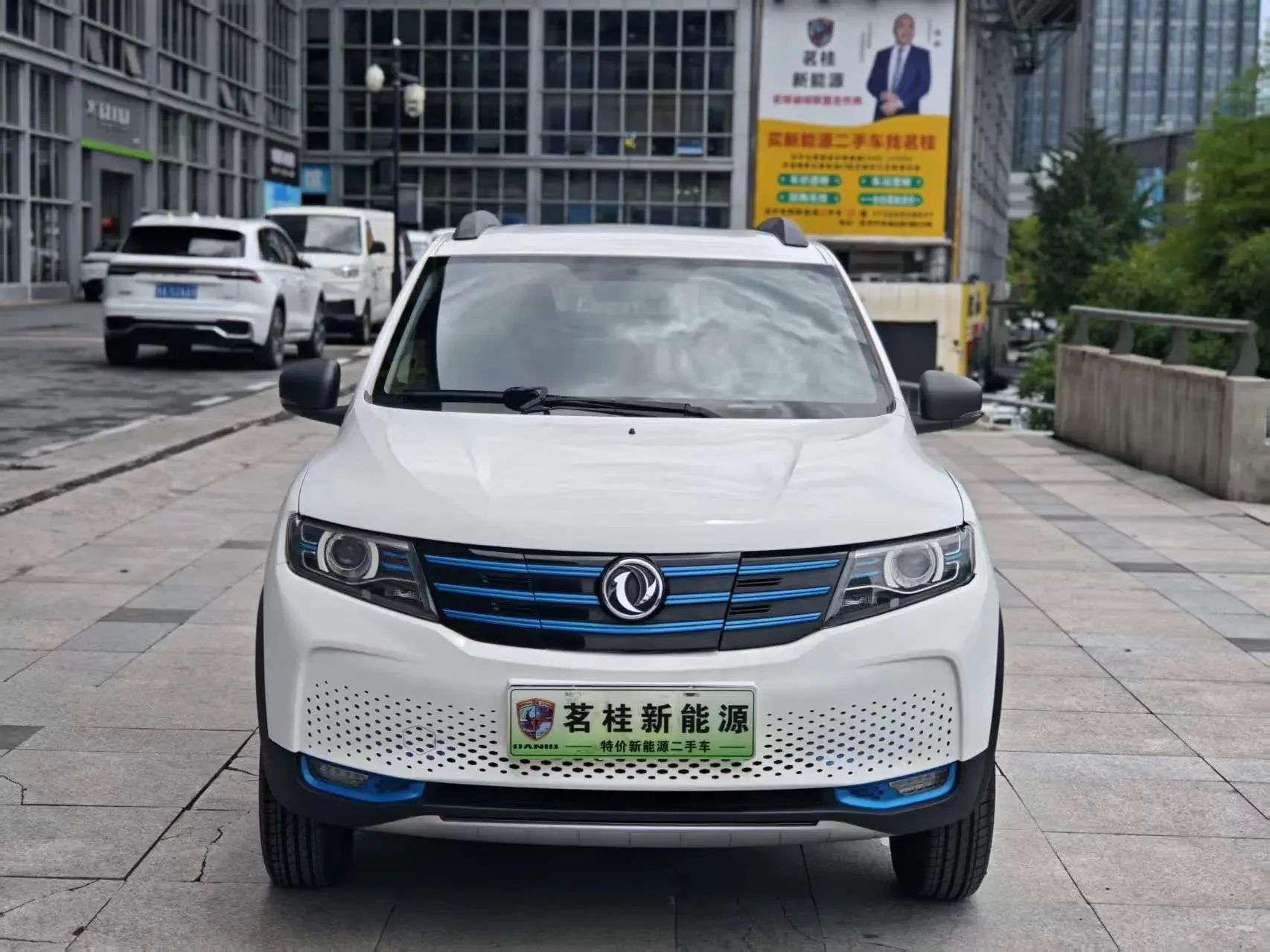 Dongfeng scenery E1