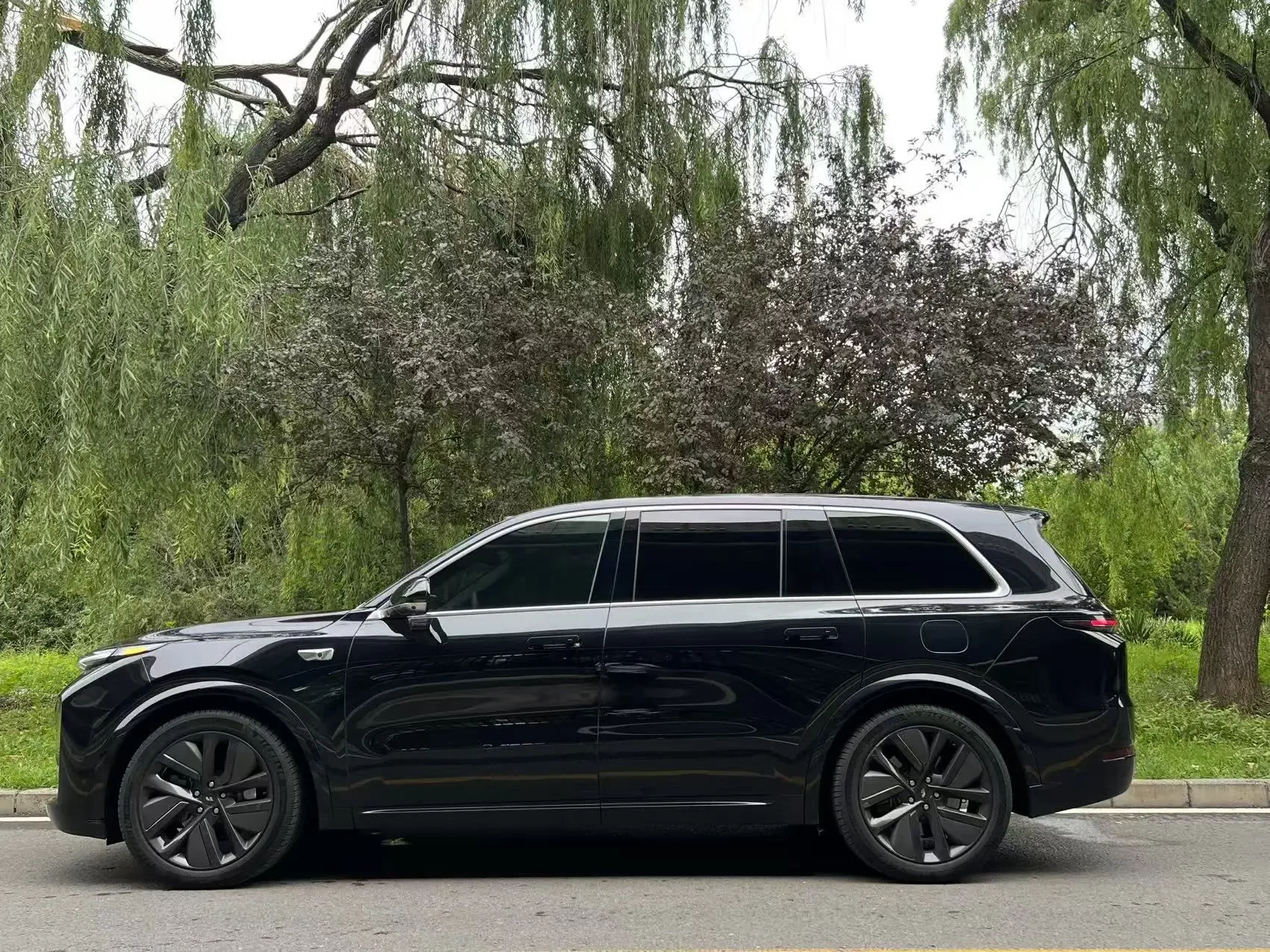 Lixiang L9