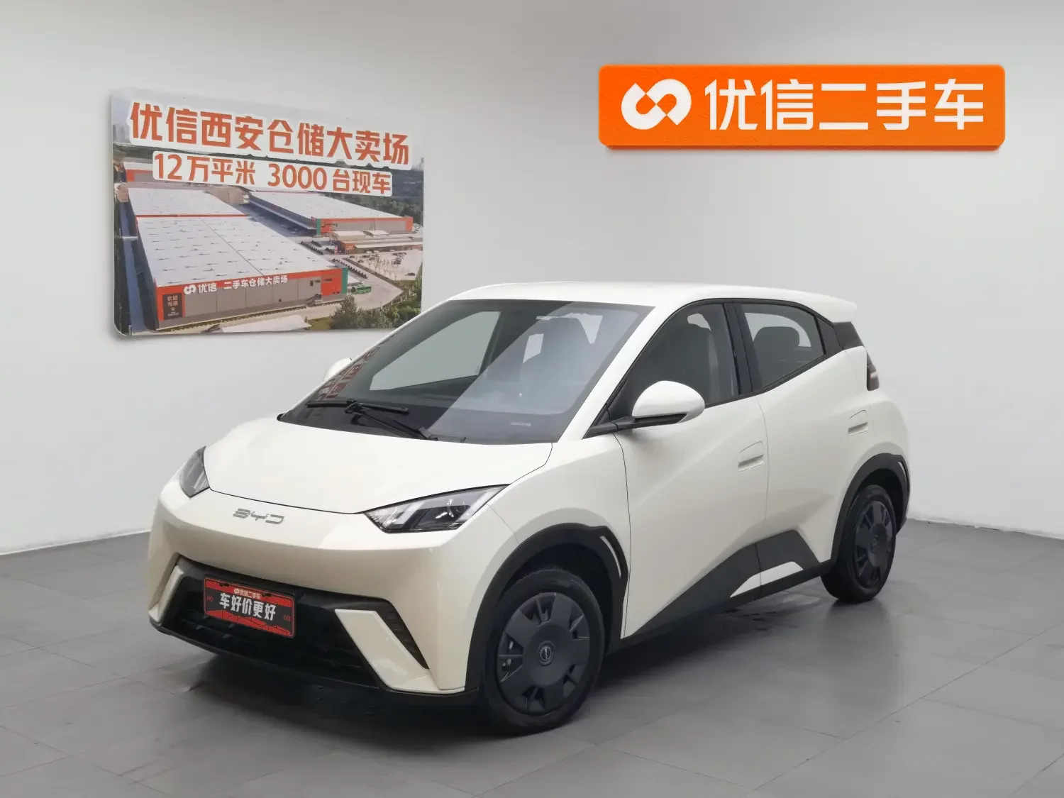 BYD seagull