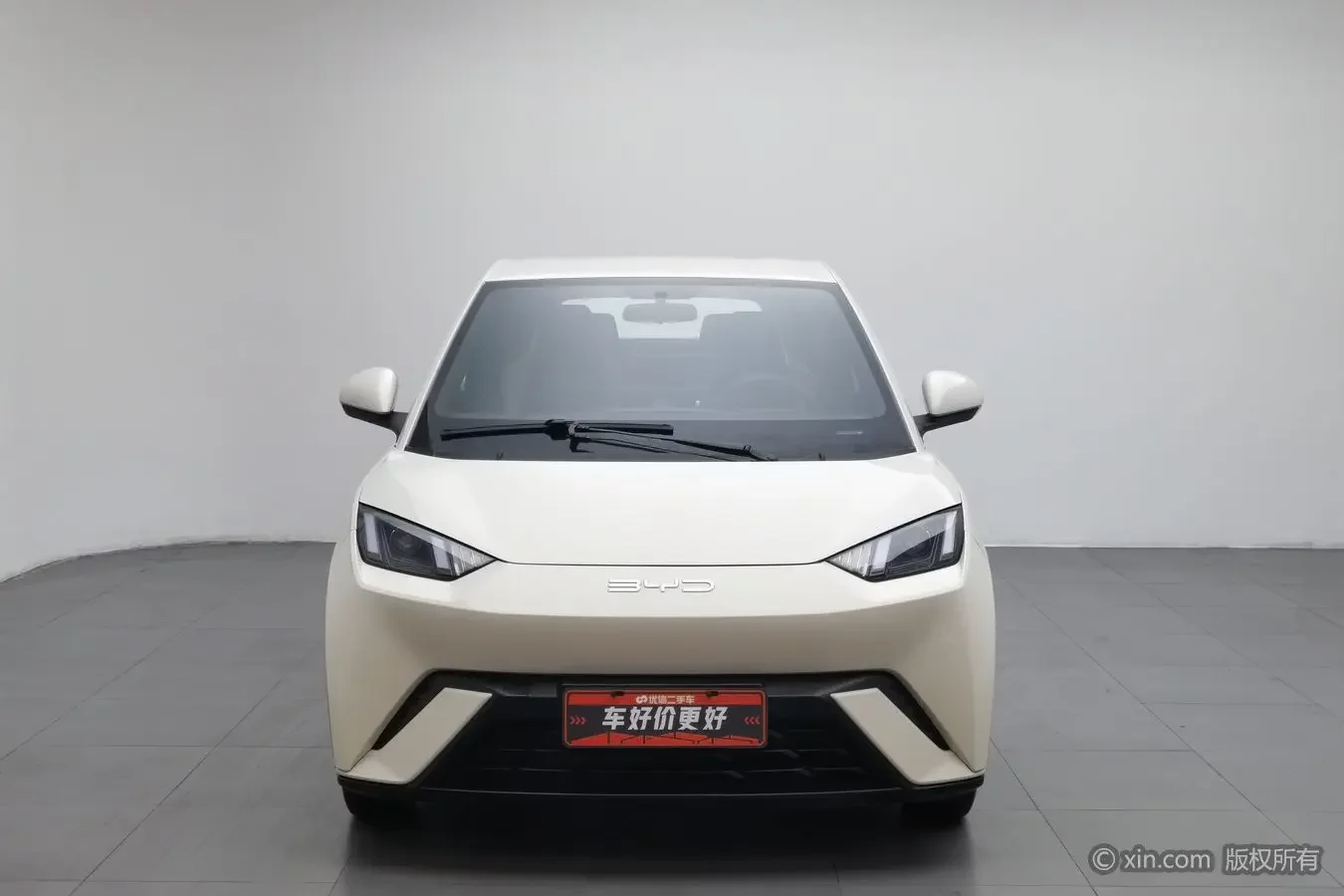 BYD seagull