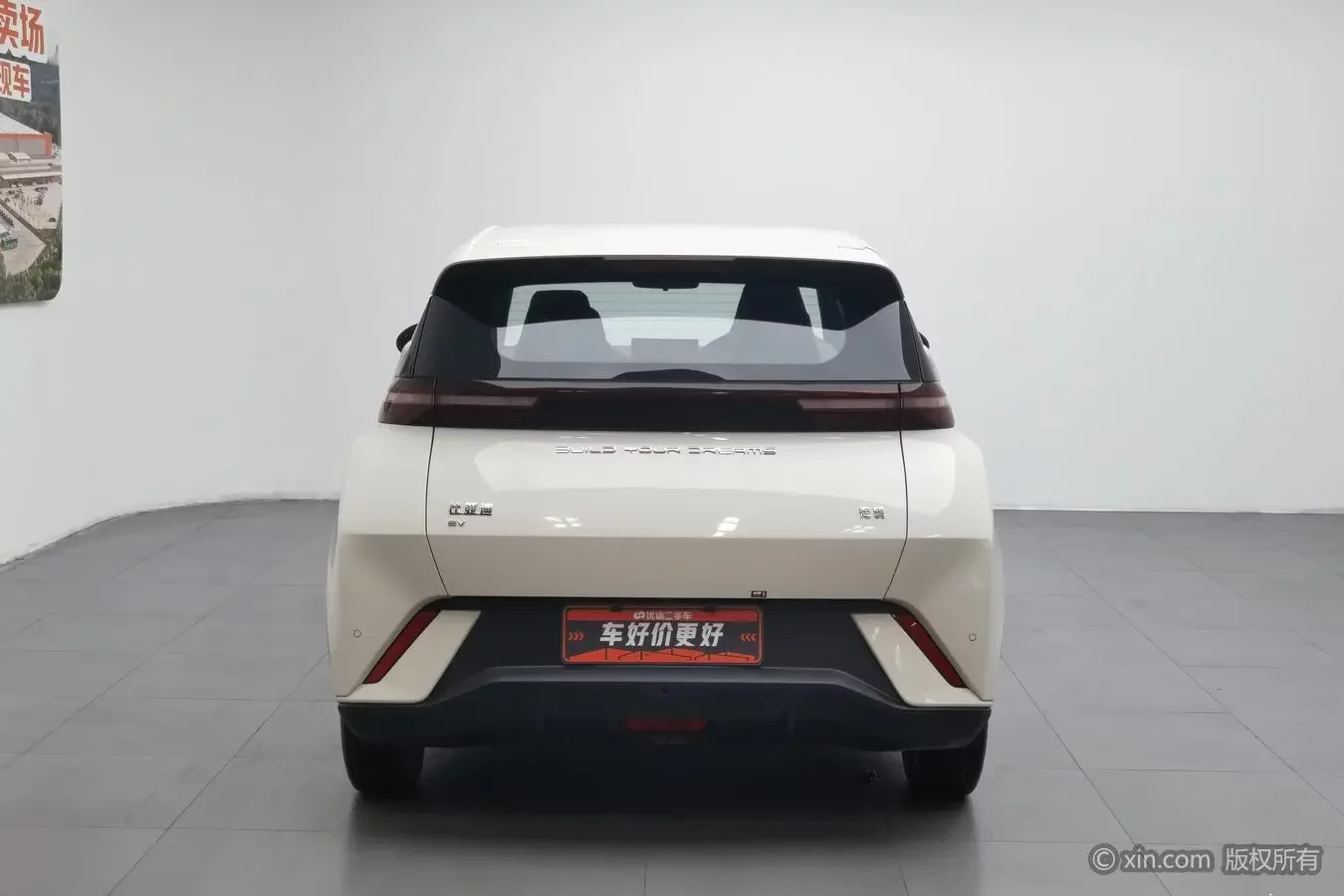 BYD seagull